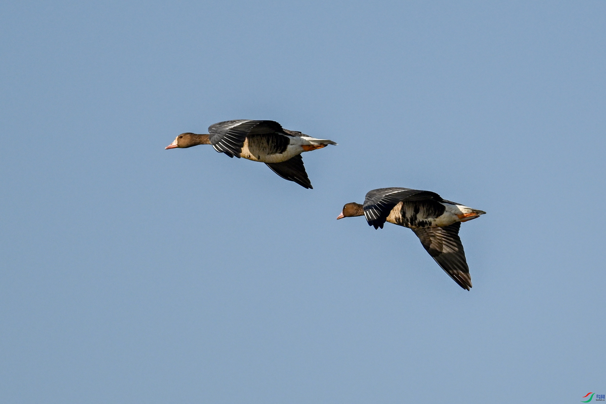 DSC_8458.JPG