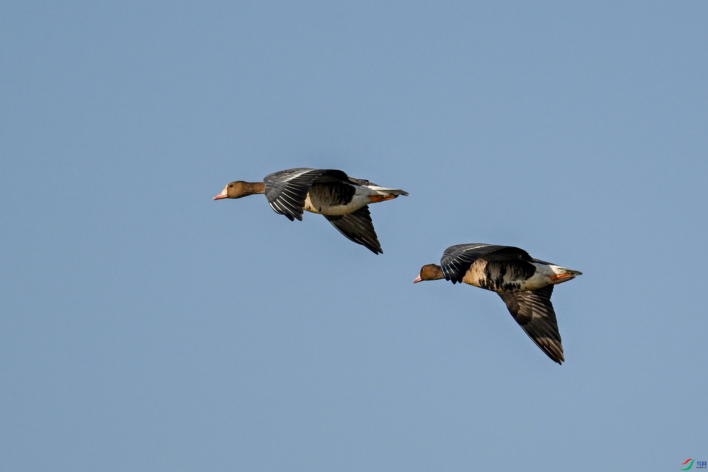 DSC_8459.JPG