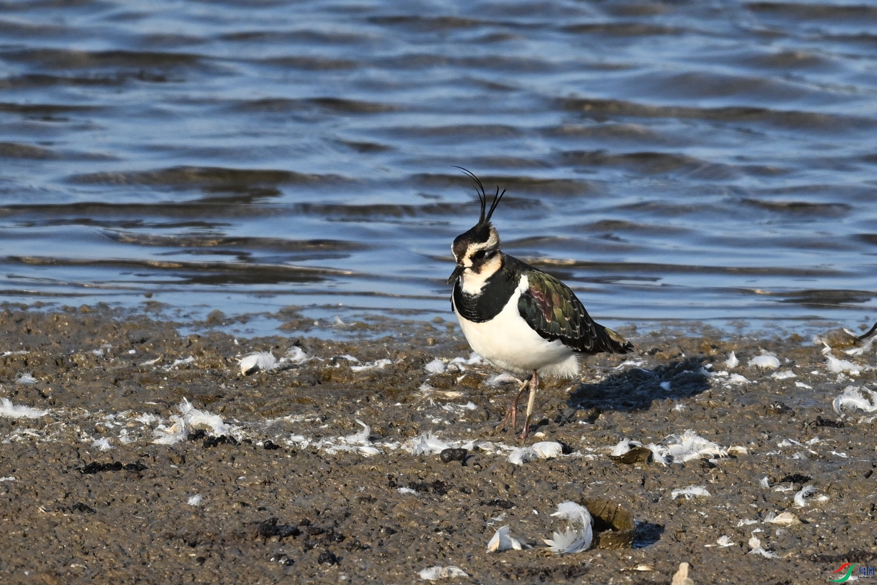 DSC_8706.JPG