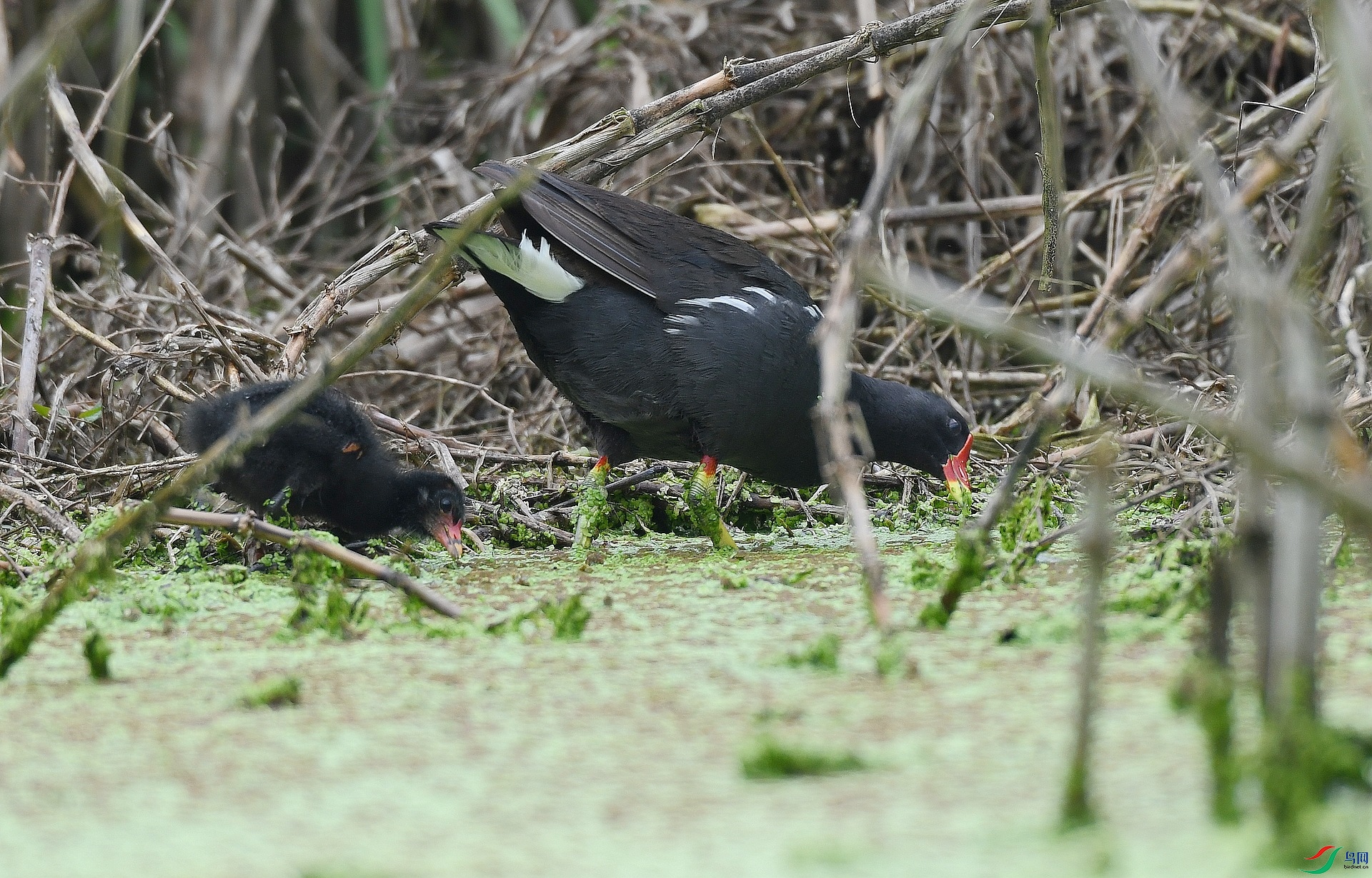 DSC_8641.jpg