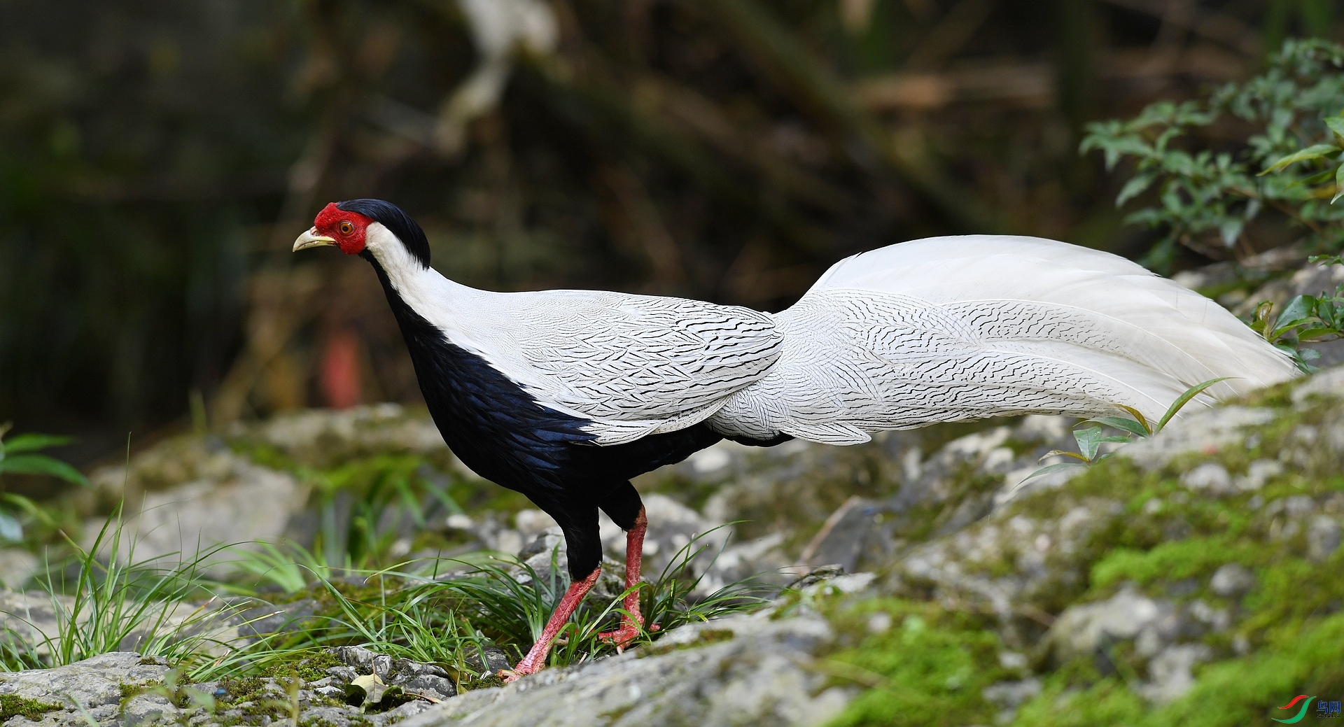 DSC_7516.jpg