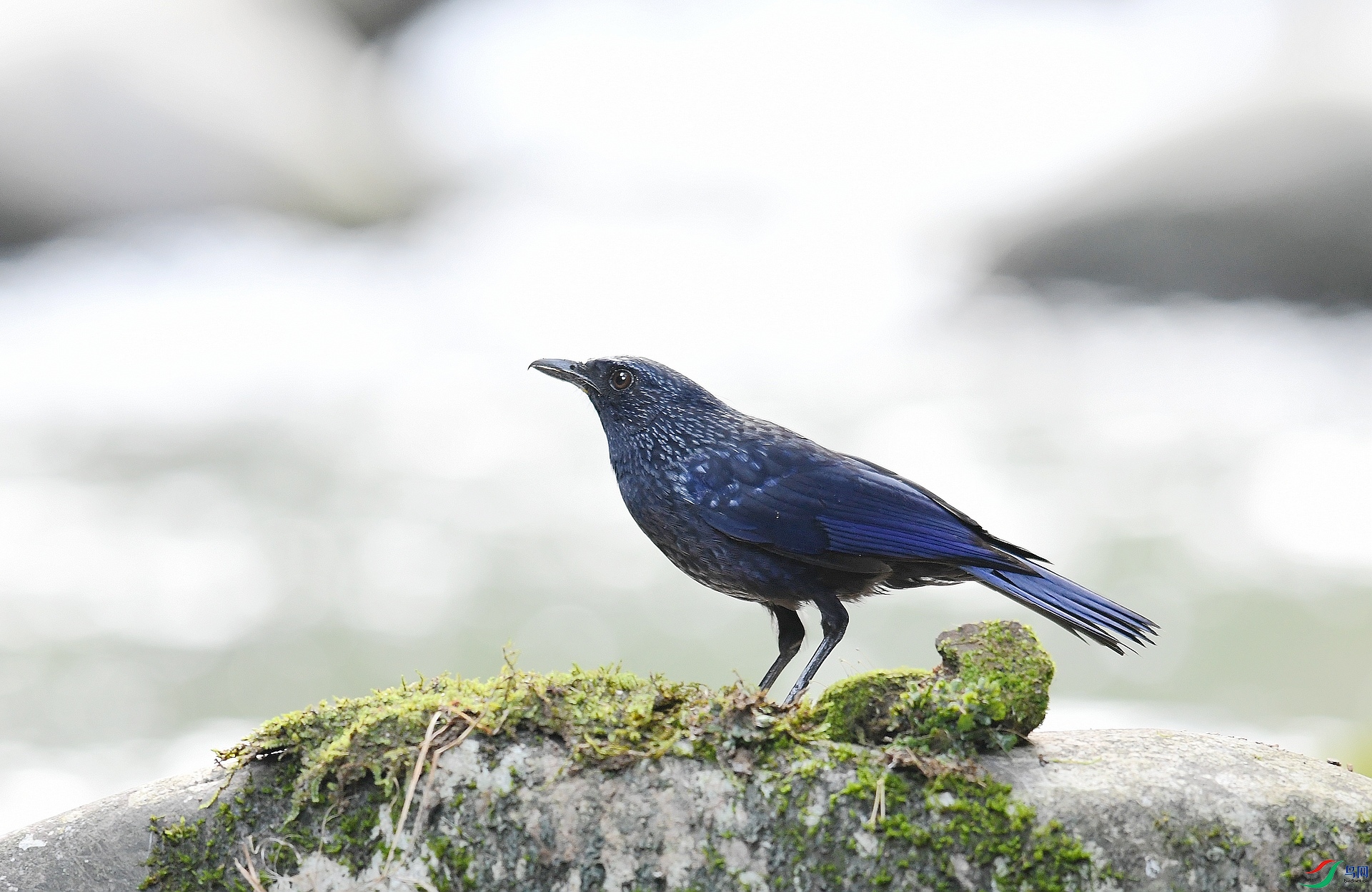 DSC_8279.jpg