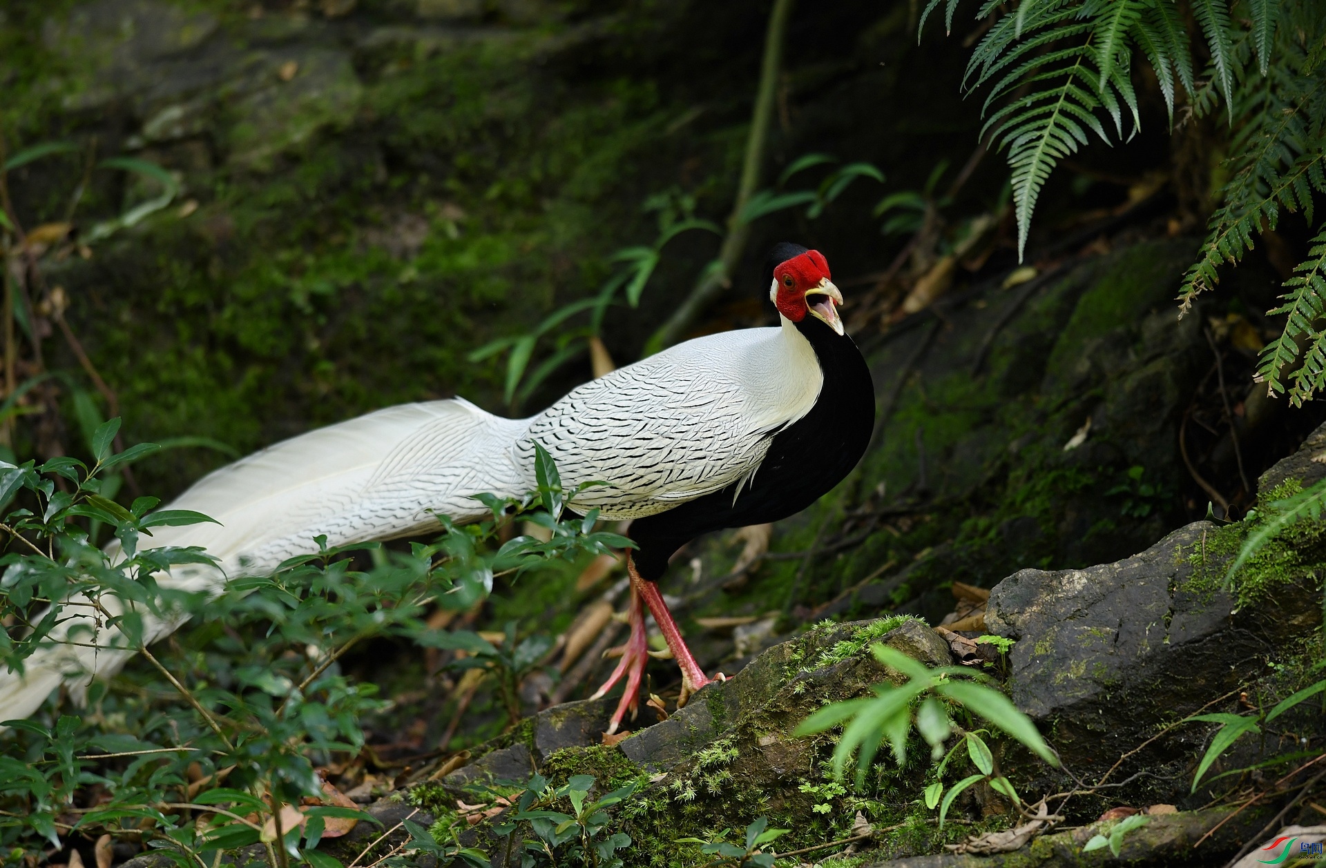 DSC_7770.jpg