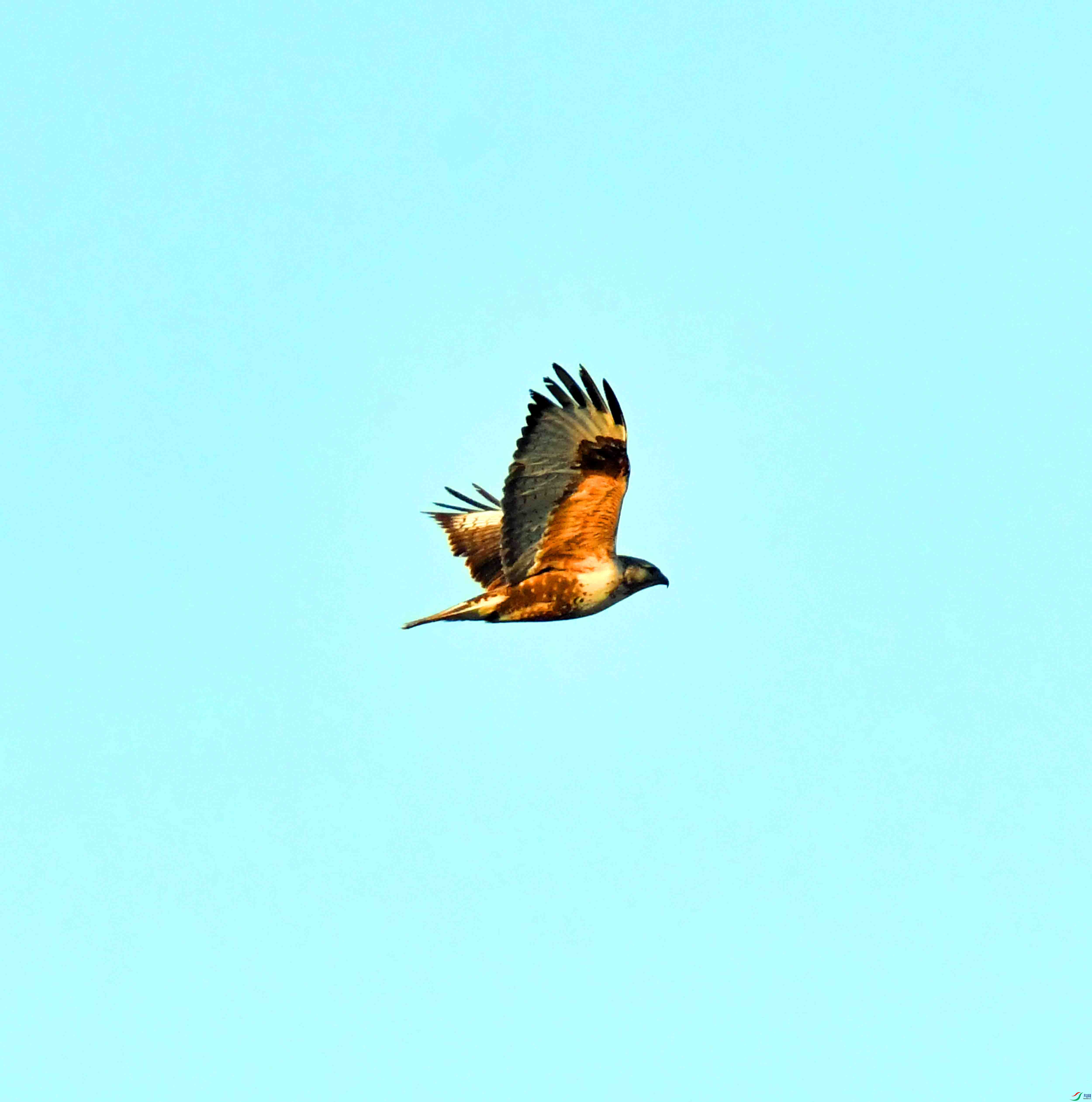 DSC_0388.JPG