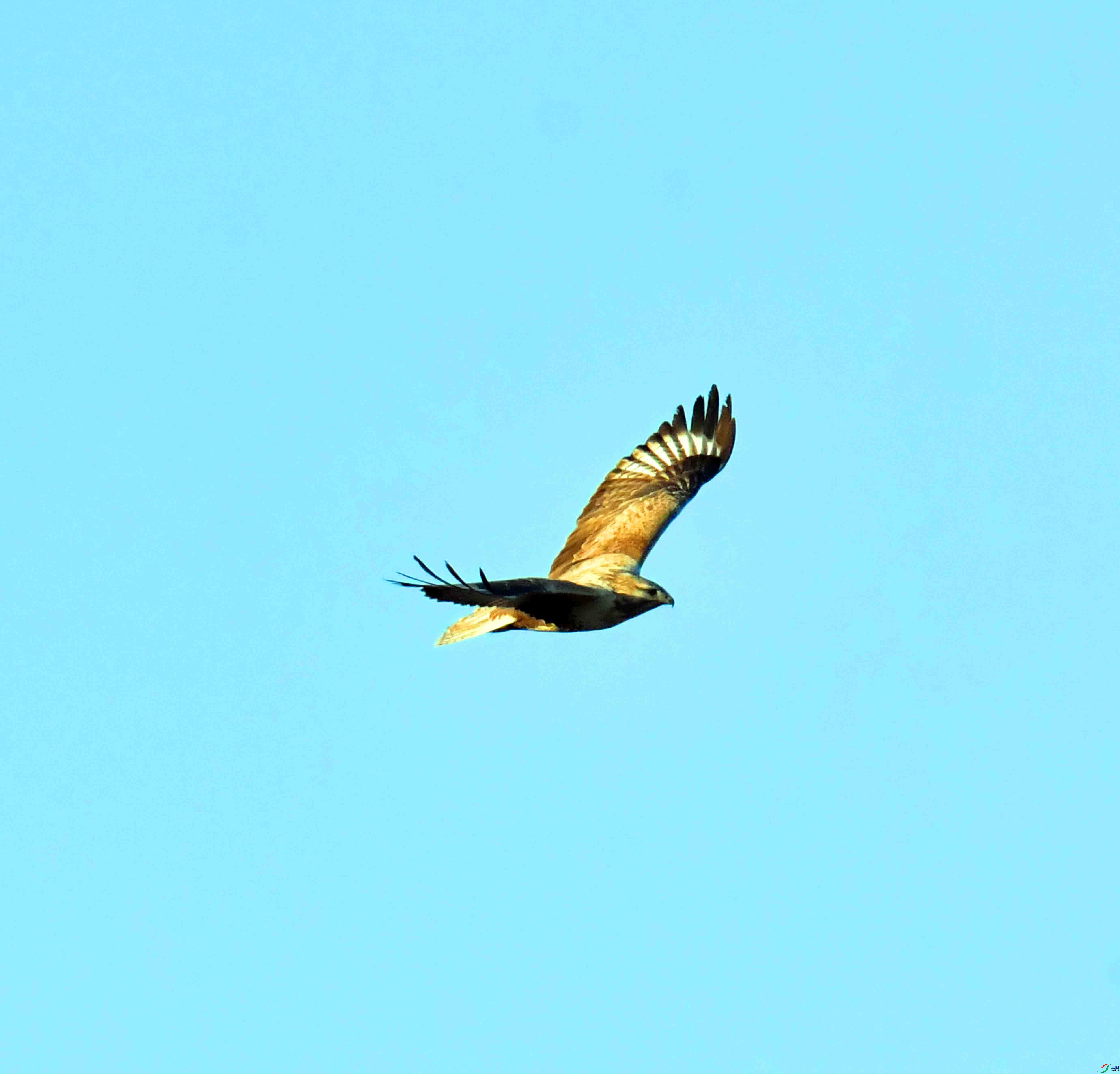 DSC_0379.JPG
