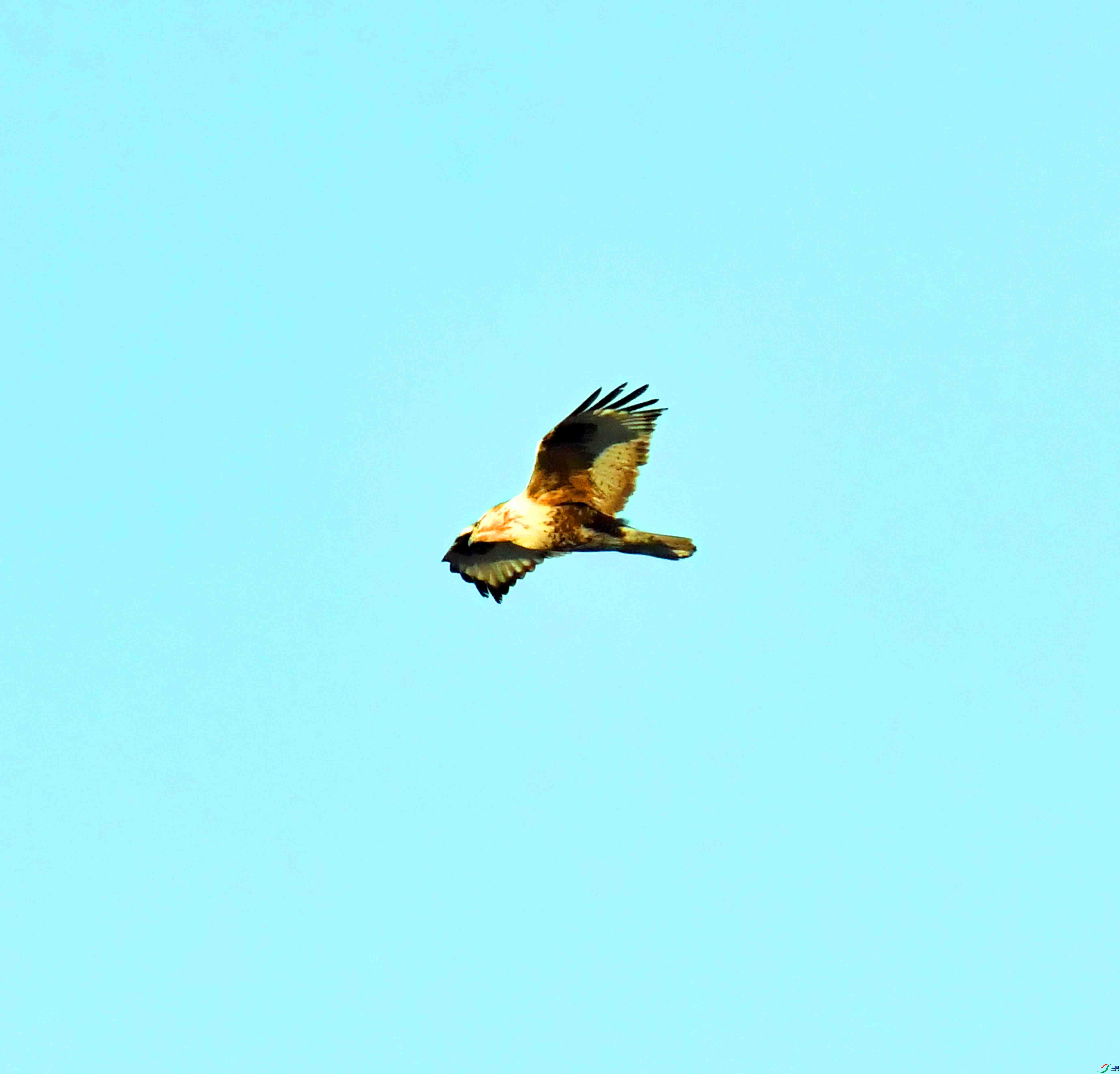 DSC_0403.JPG