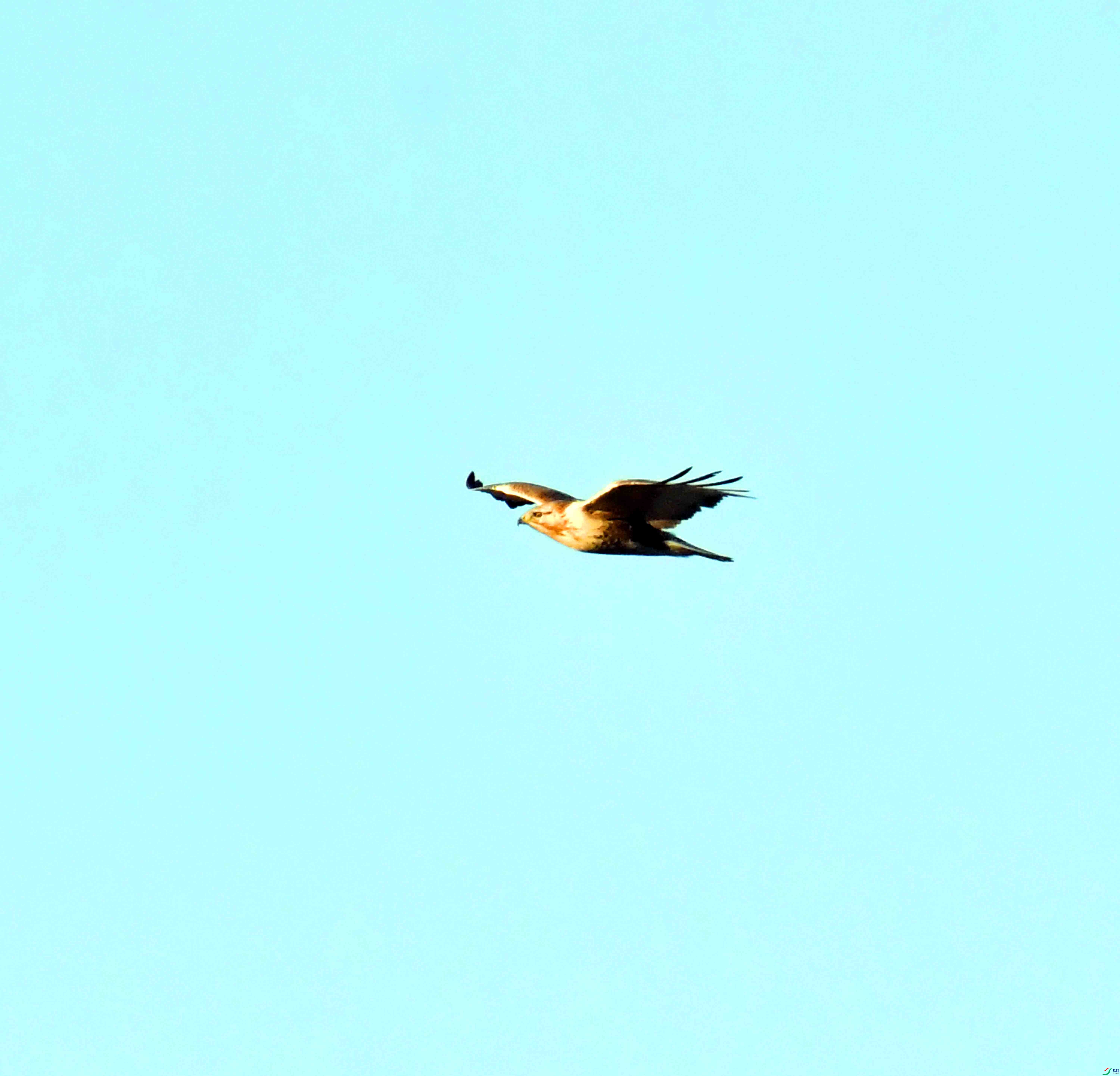 DSC_0401.JPG