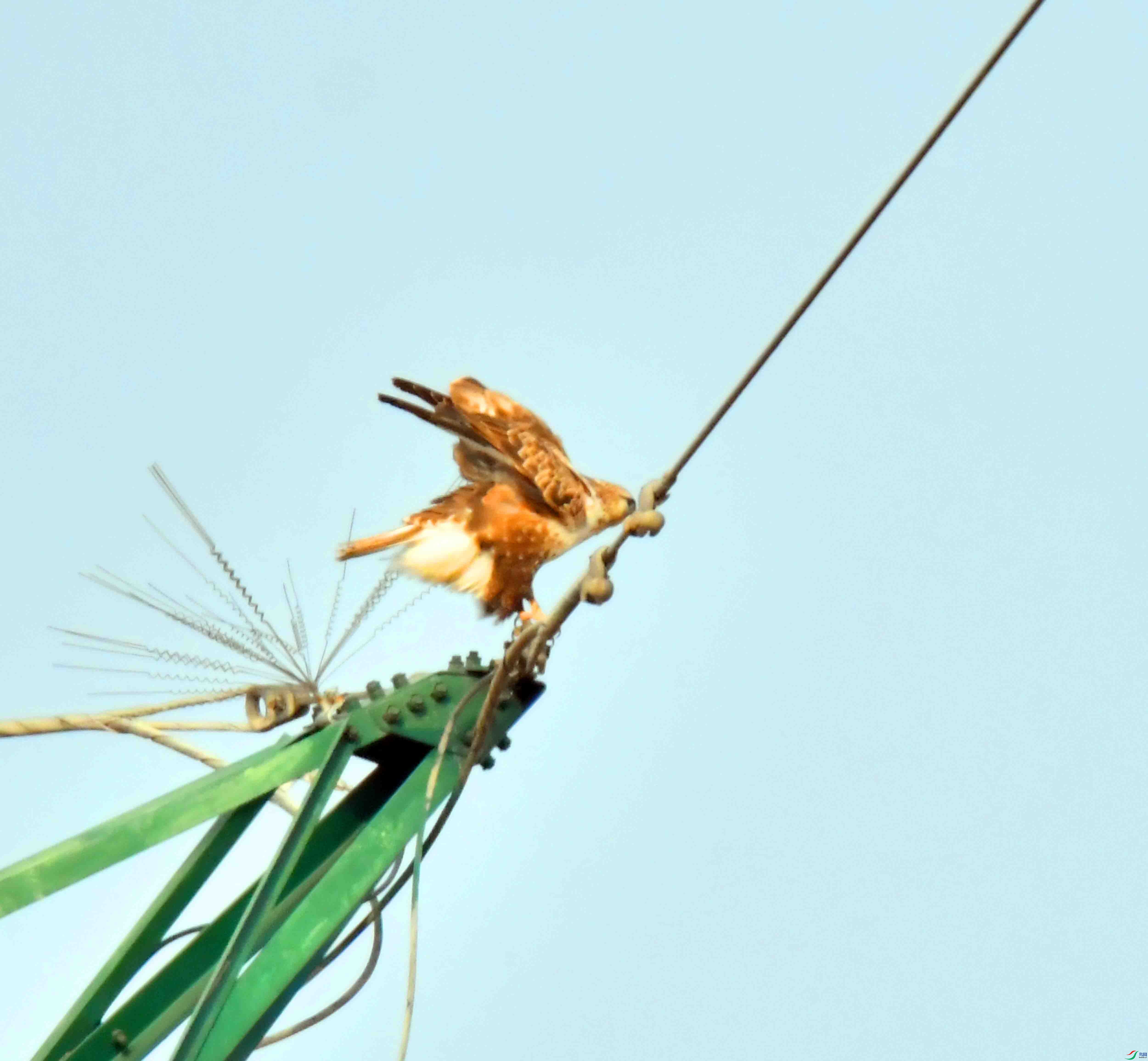 DSC_0757.JPG