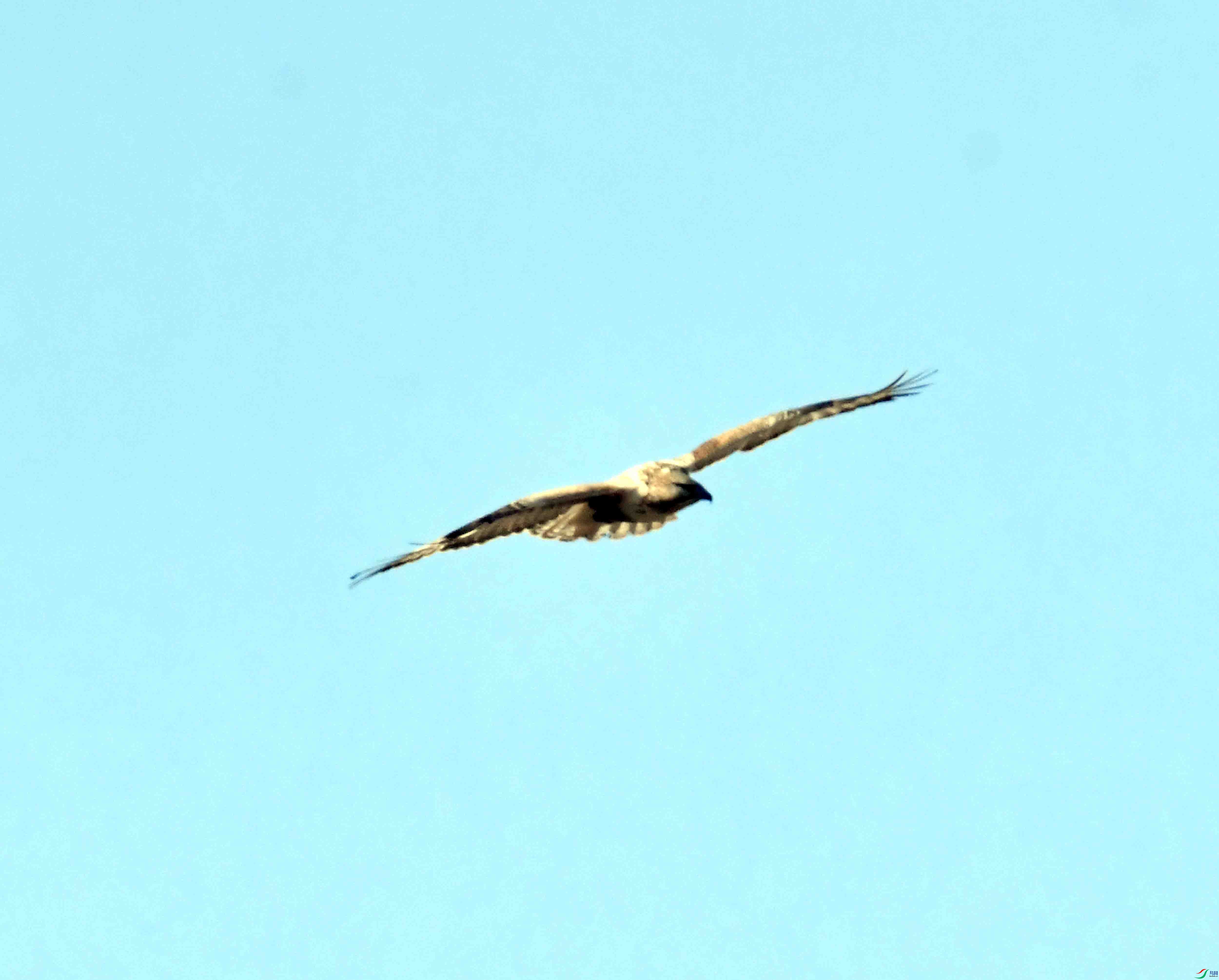 DSC_9501.JPG
