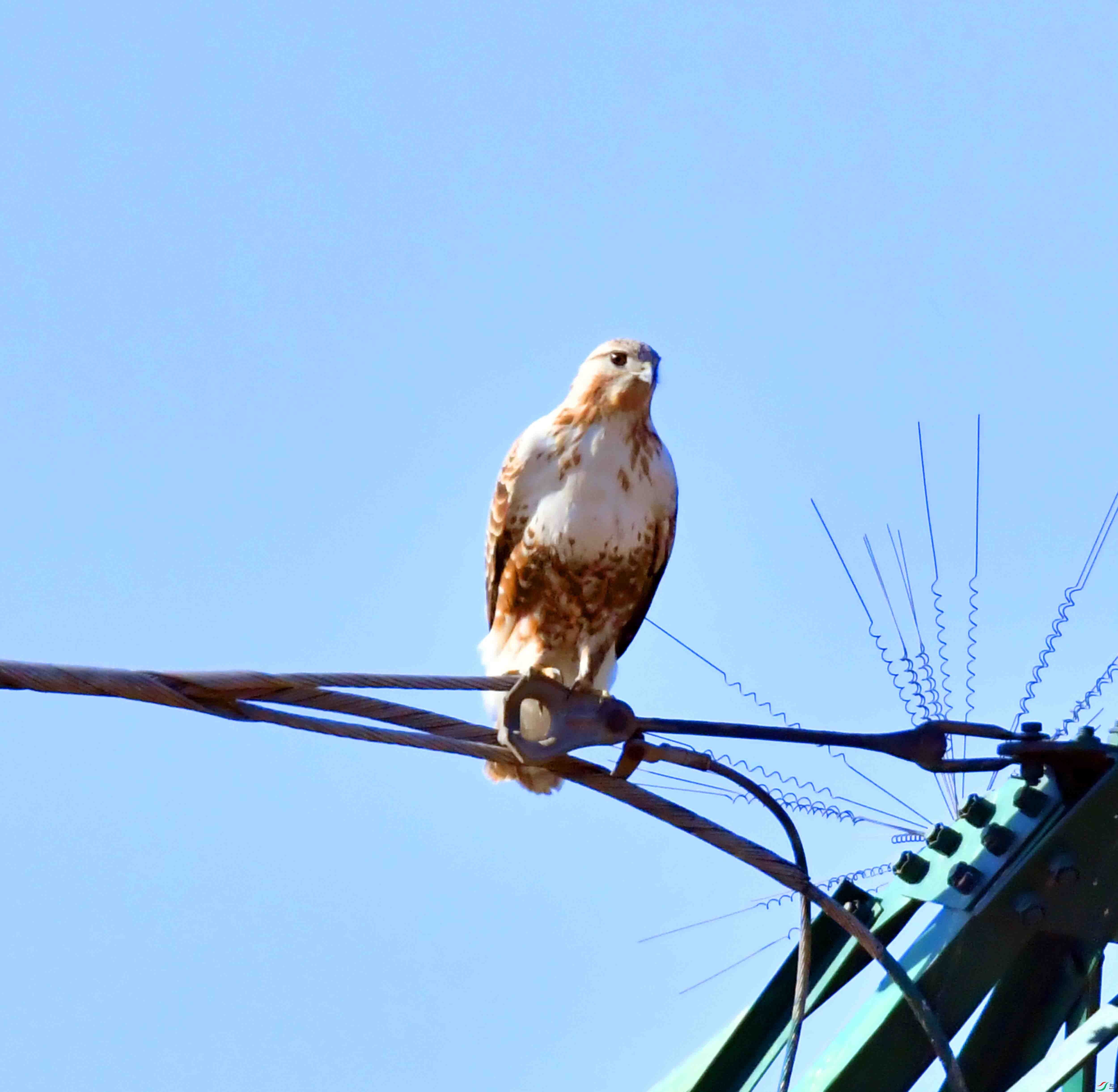DSC_9094.JPG