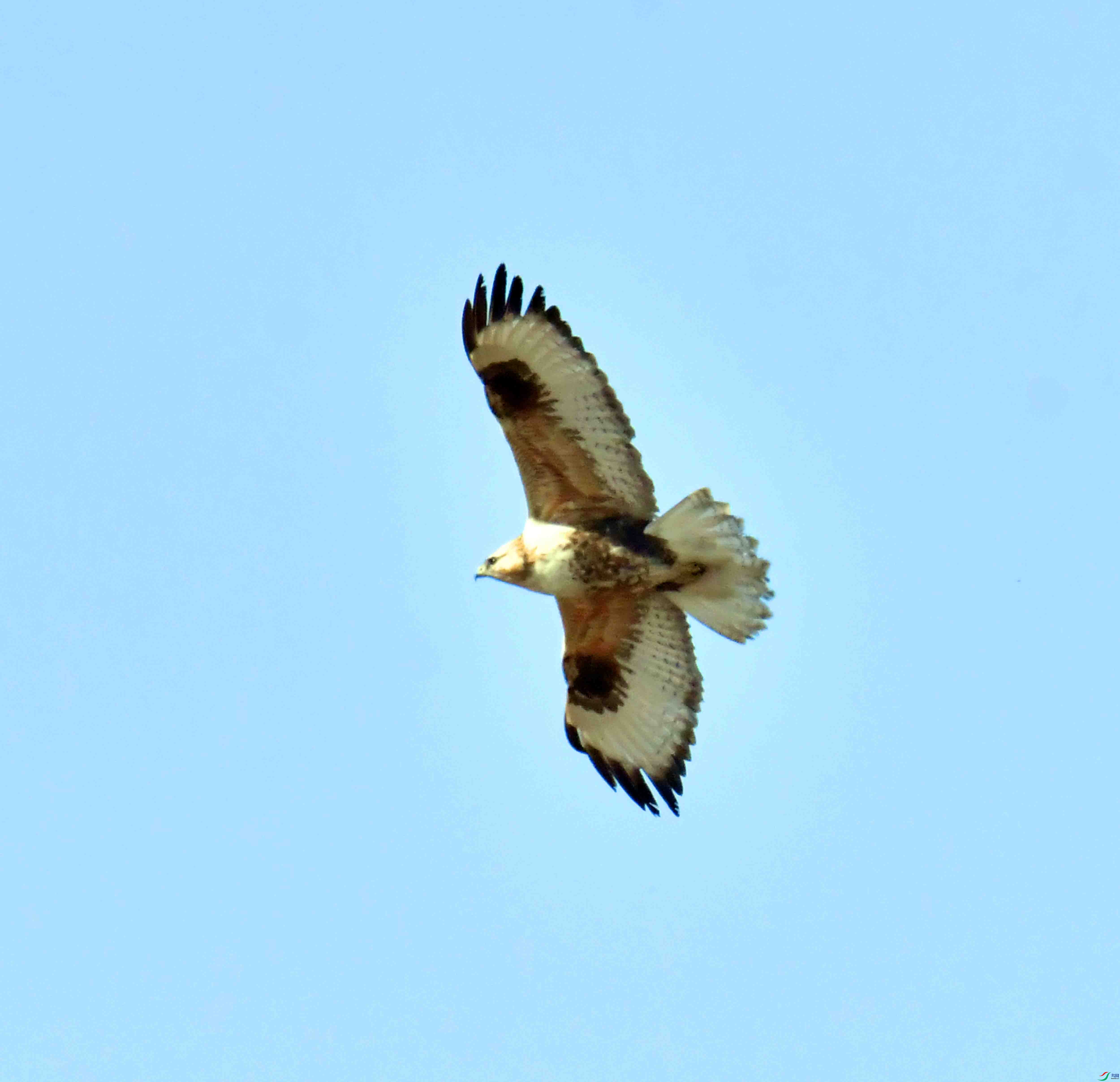 DSC_9494.JPG