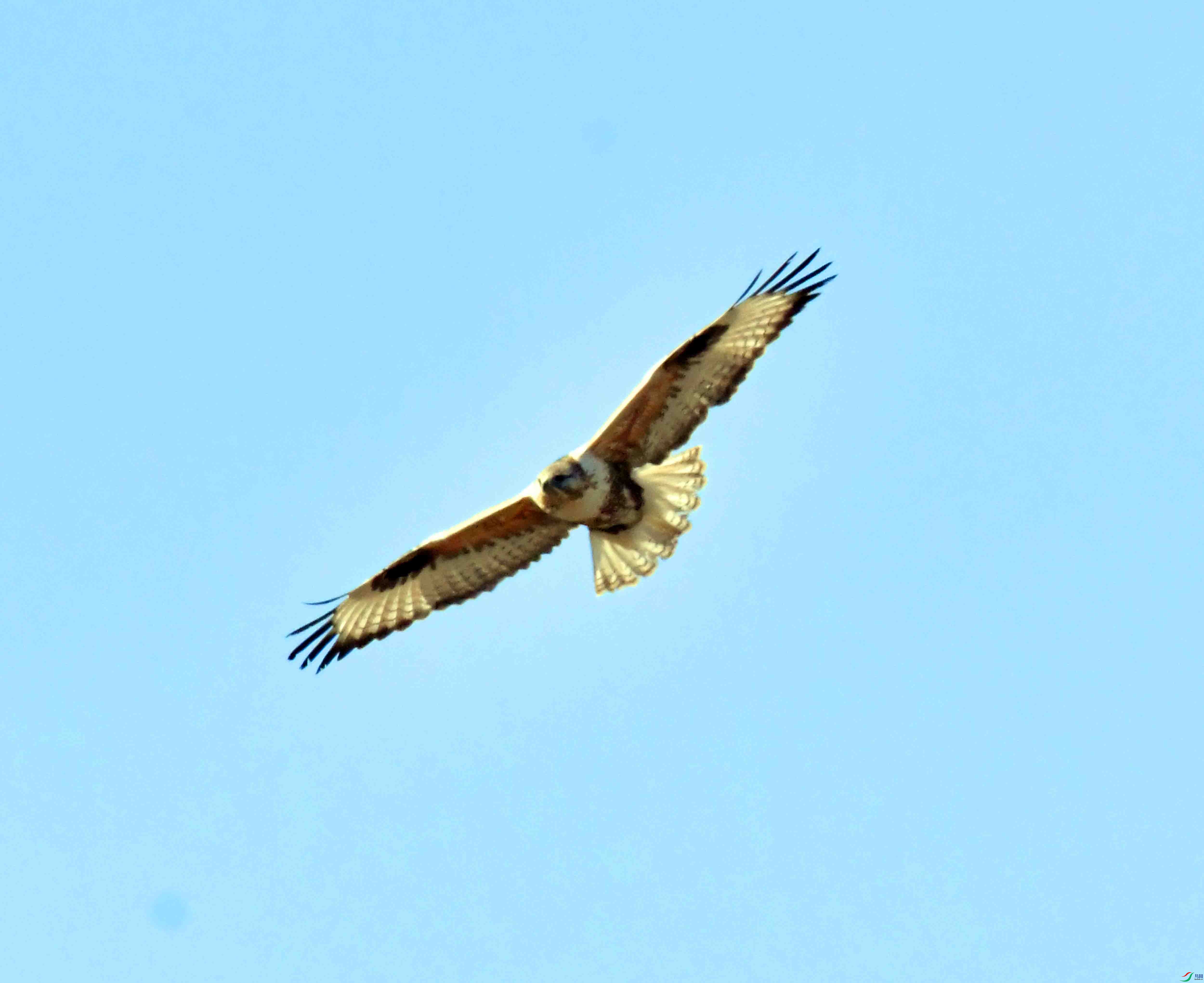 DSC_9502.JPG