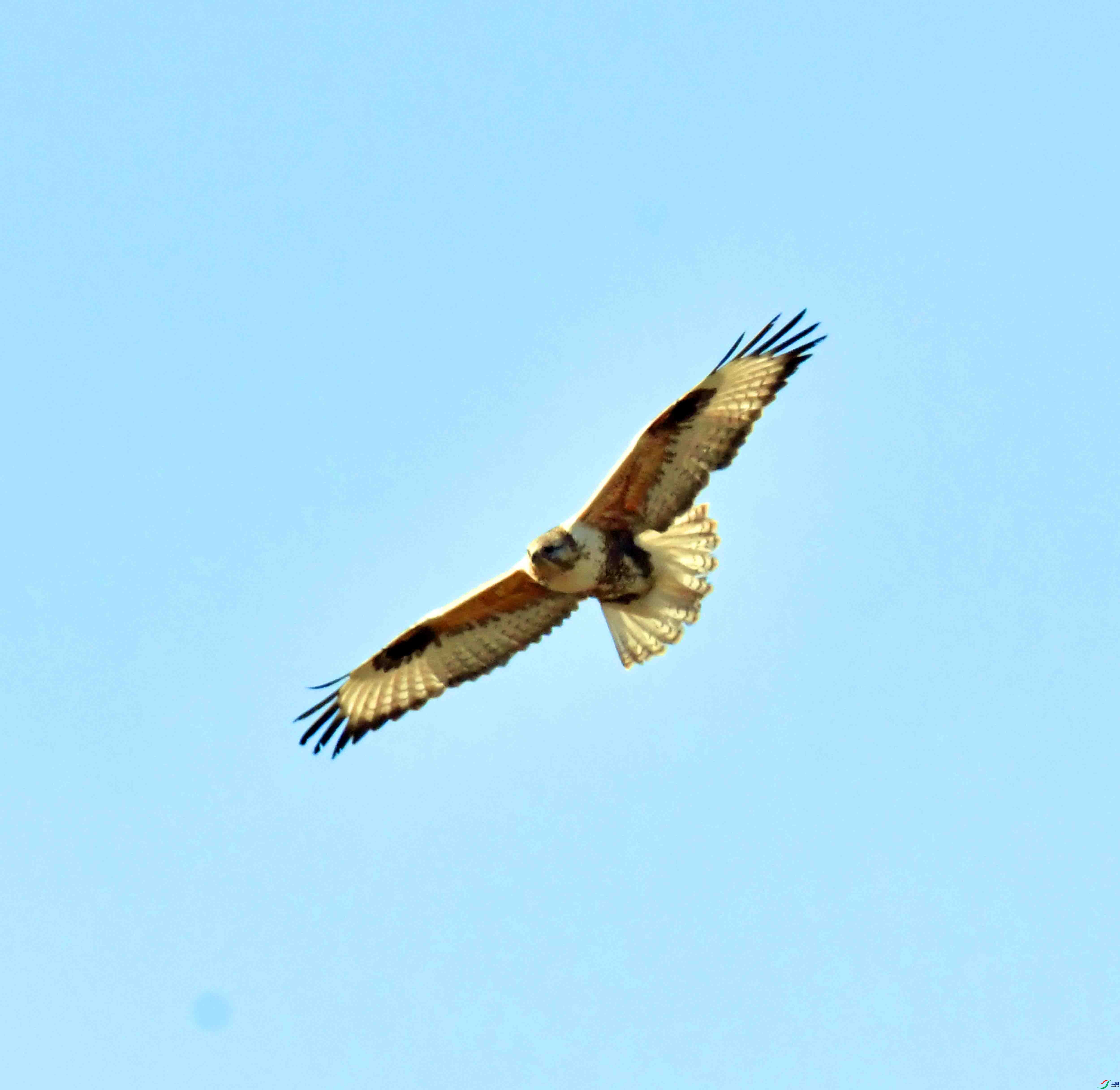 DSC_9504.JPG