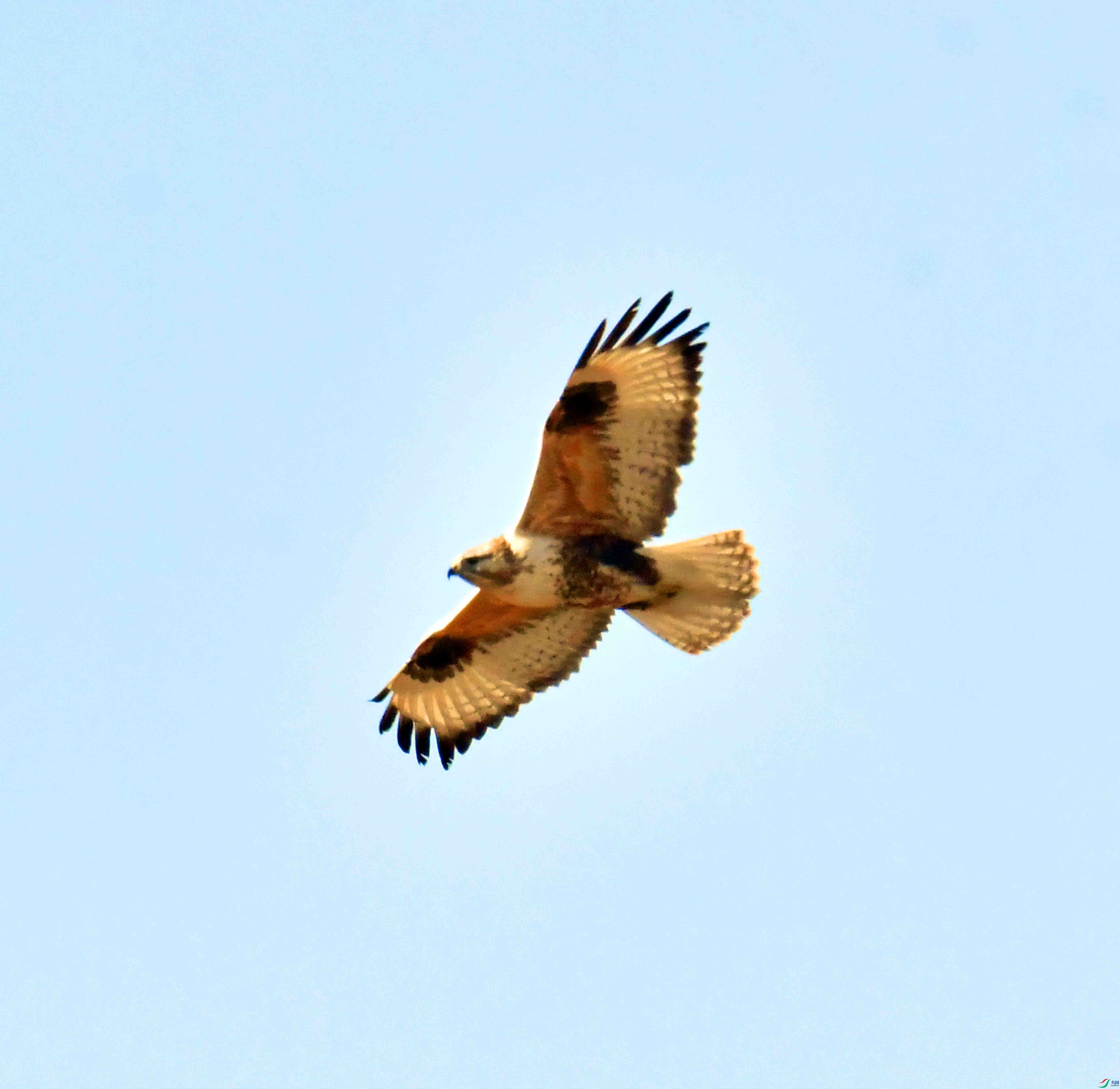 DSC_9507.JPG