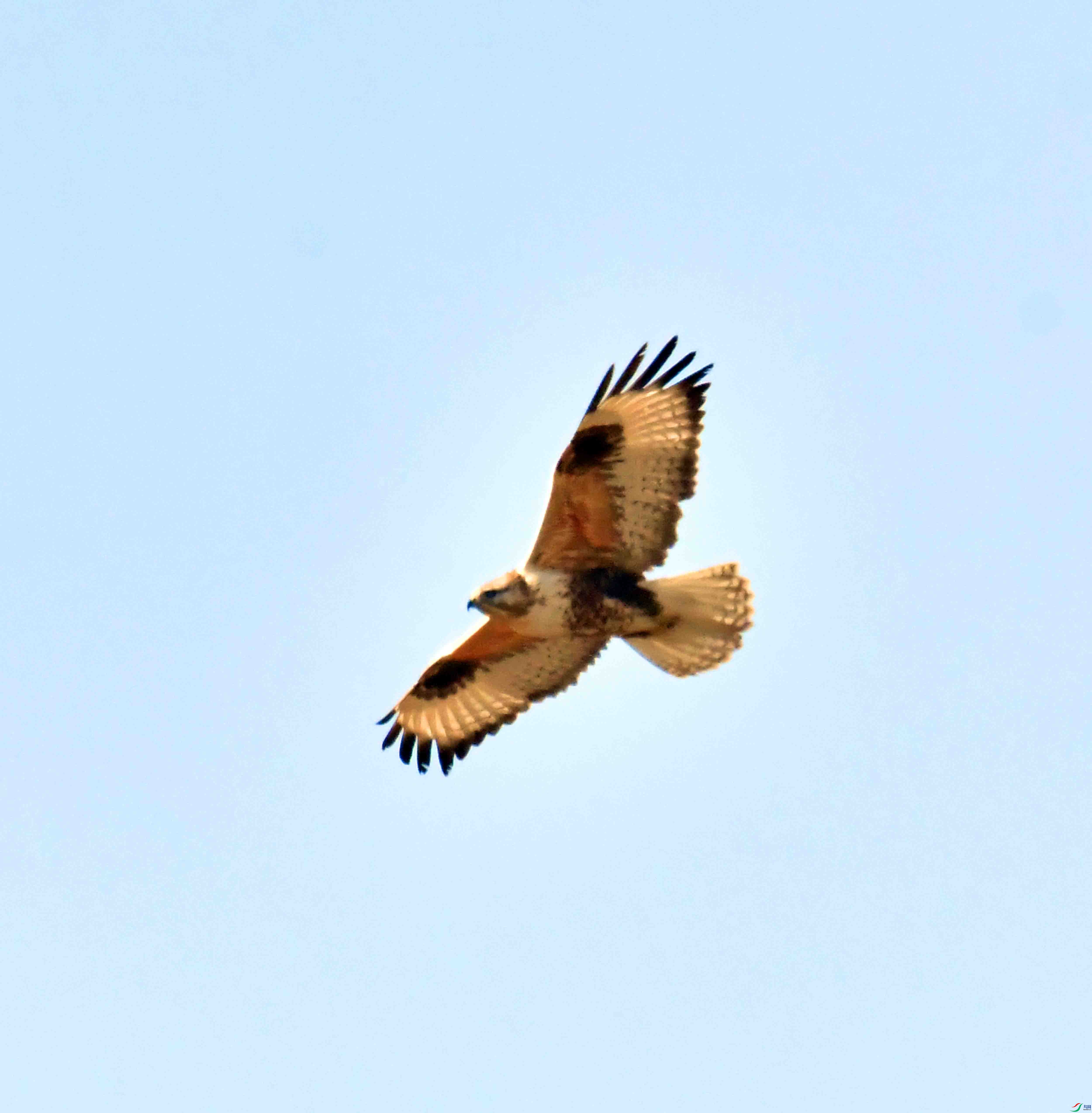DSC_9506.JPG