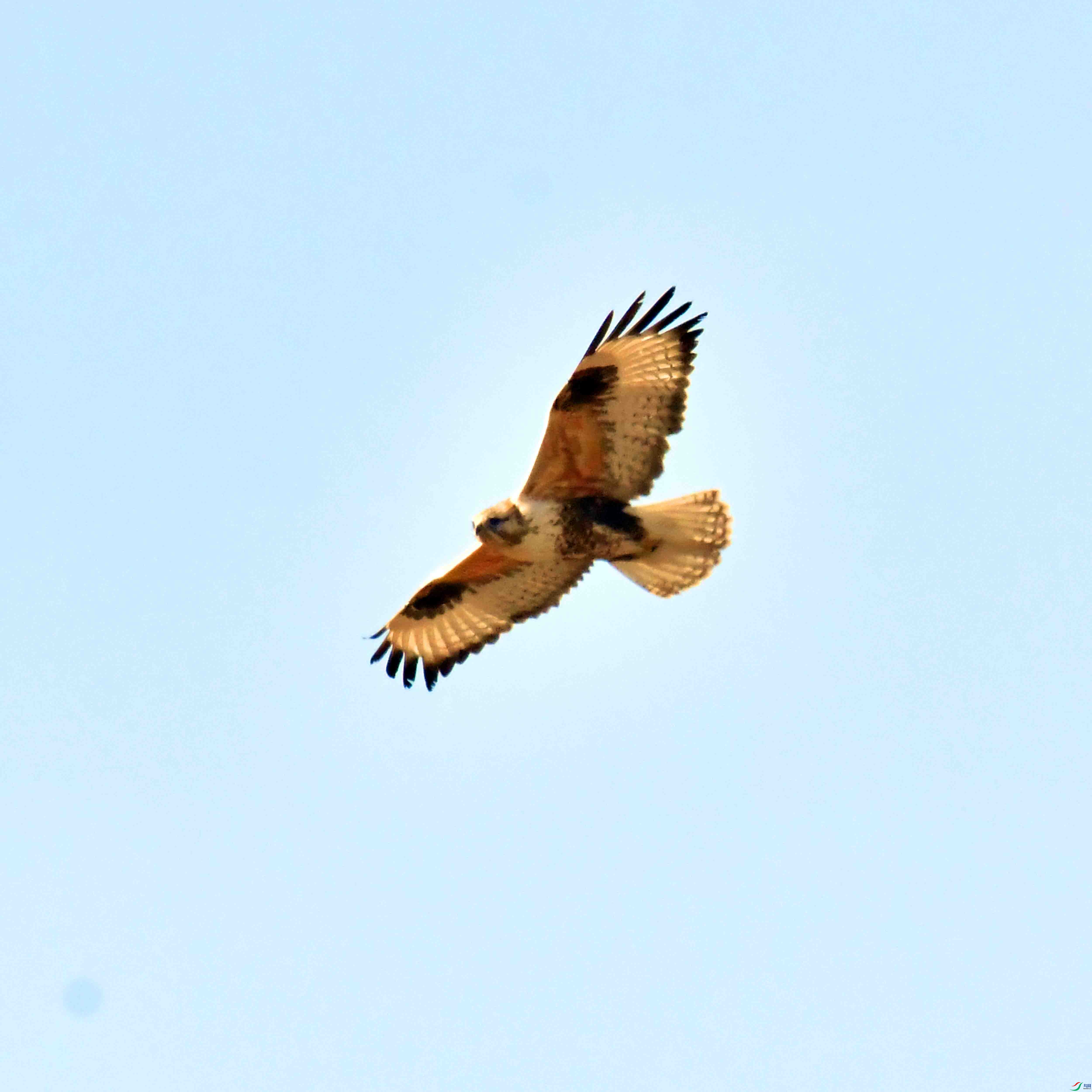 DSC_9505.JPG