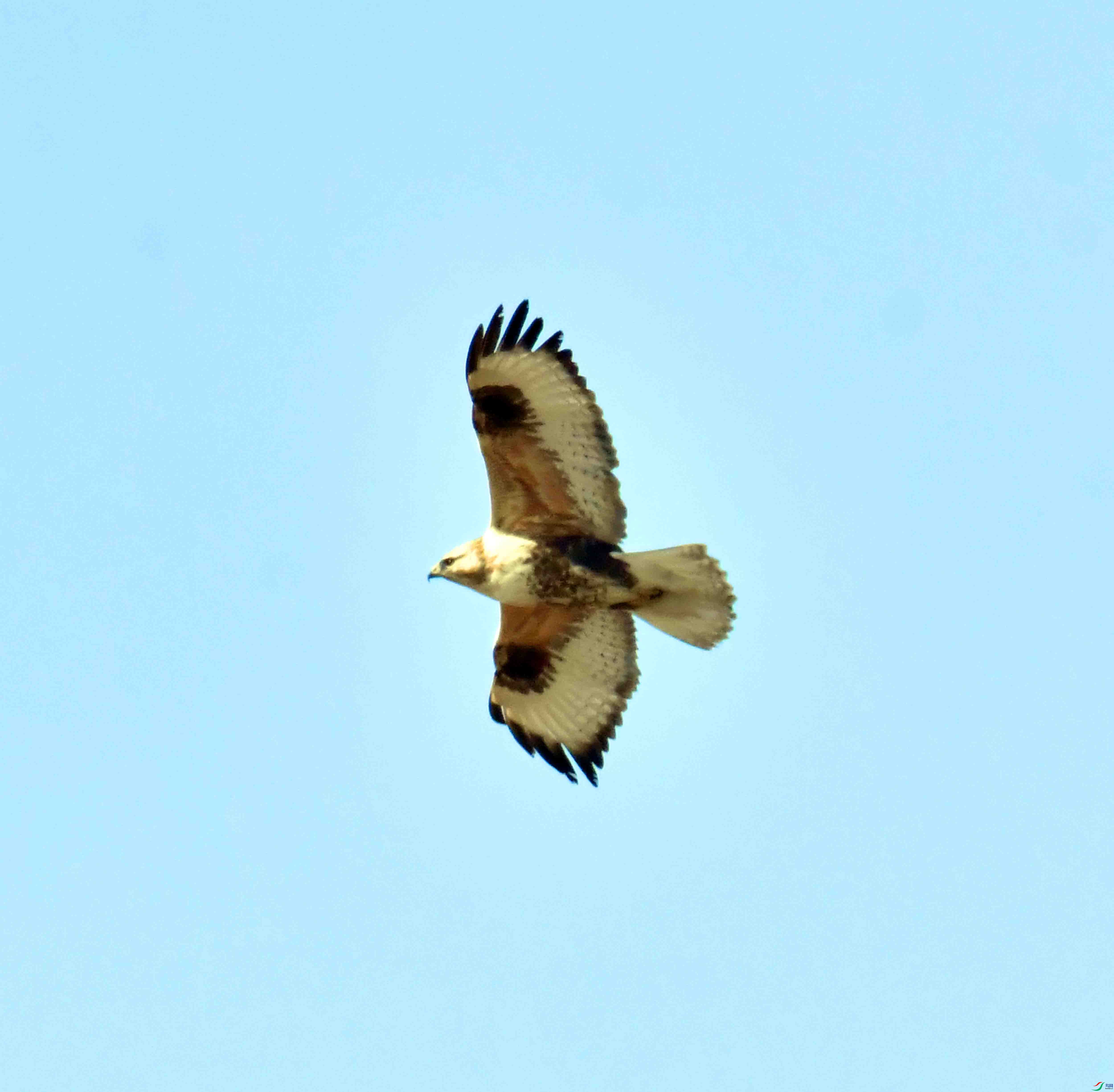 DSC_9509.JPG