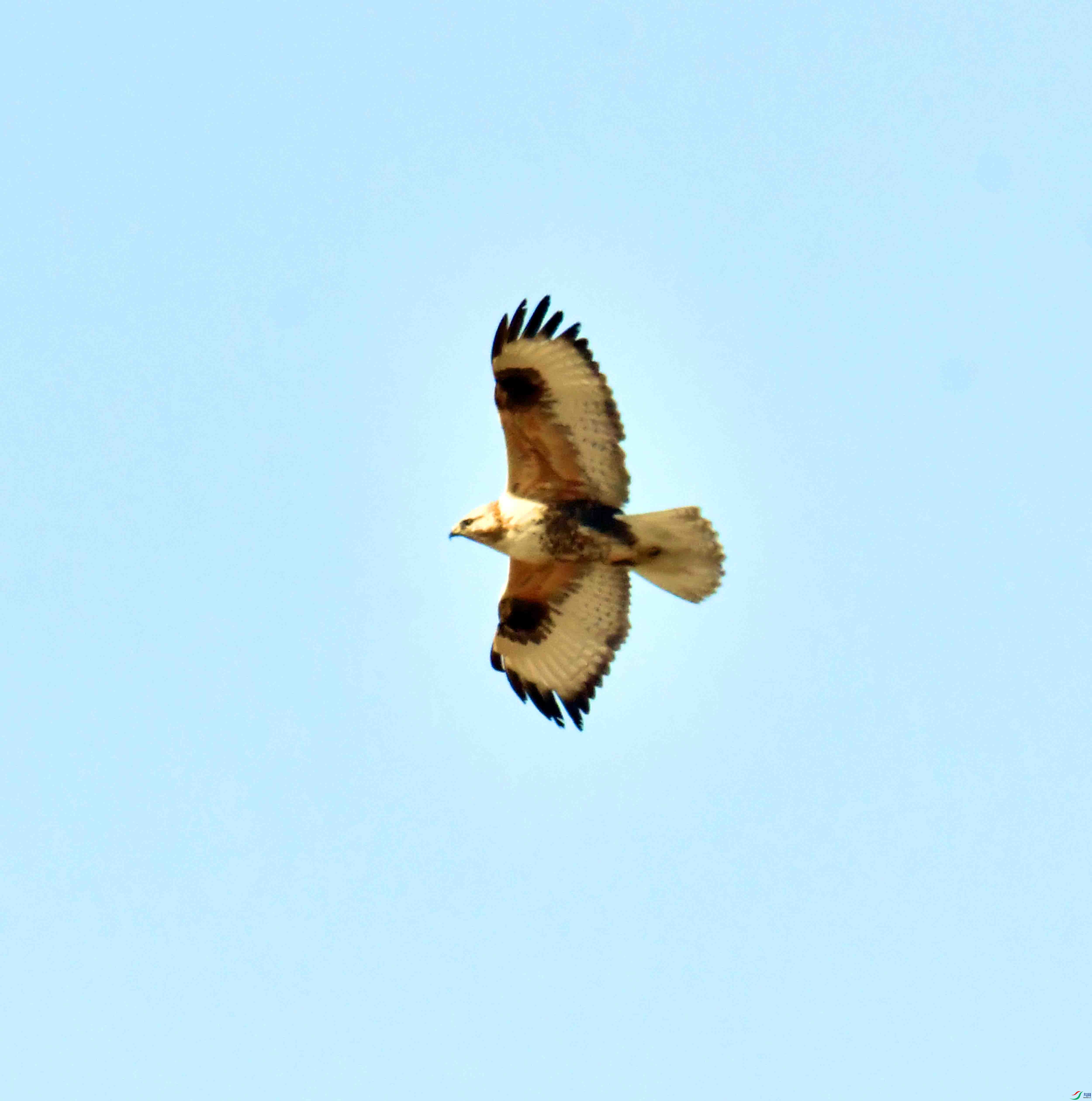 DSC_9508.JPG