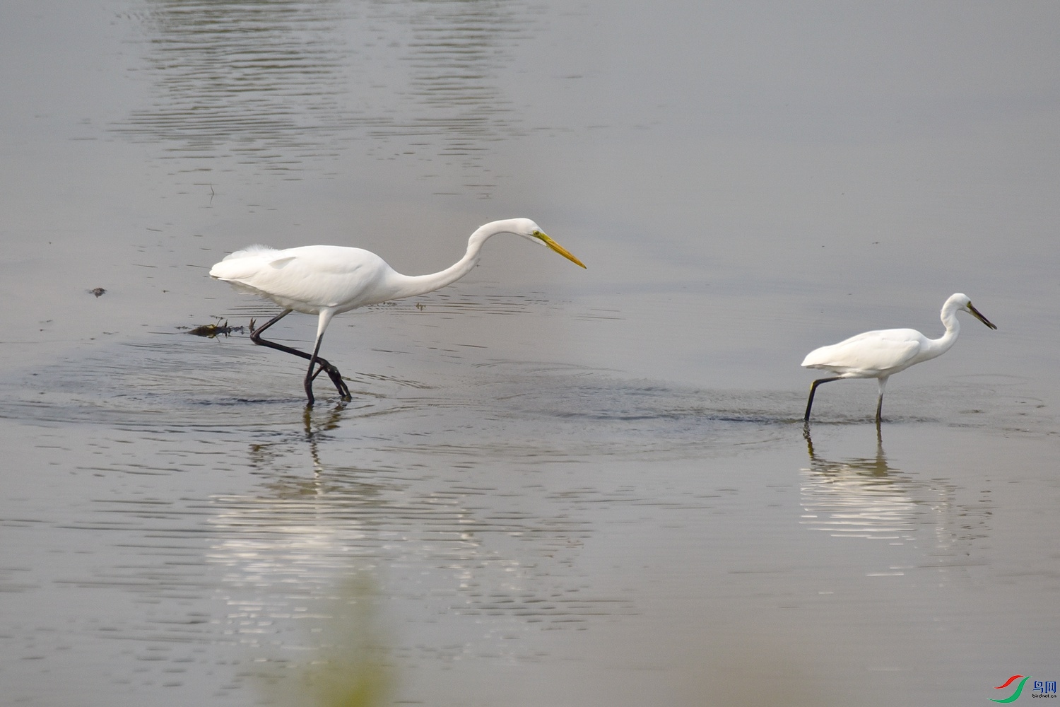 DSC_4086.JPG