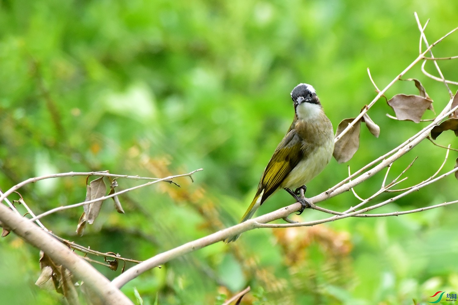 DSC_2753.JPG