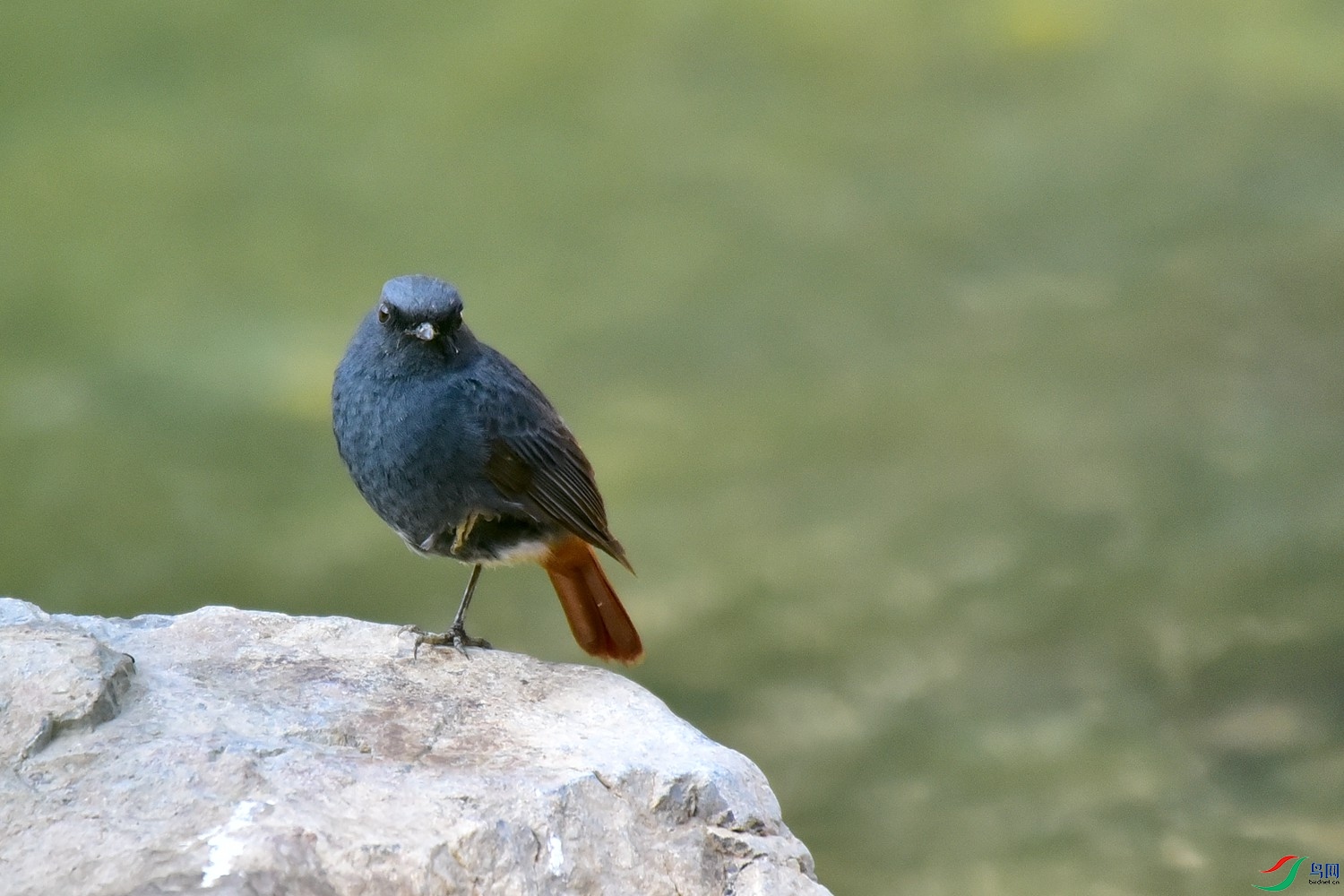 DSC_7339.JPG