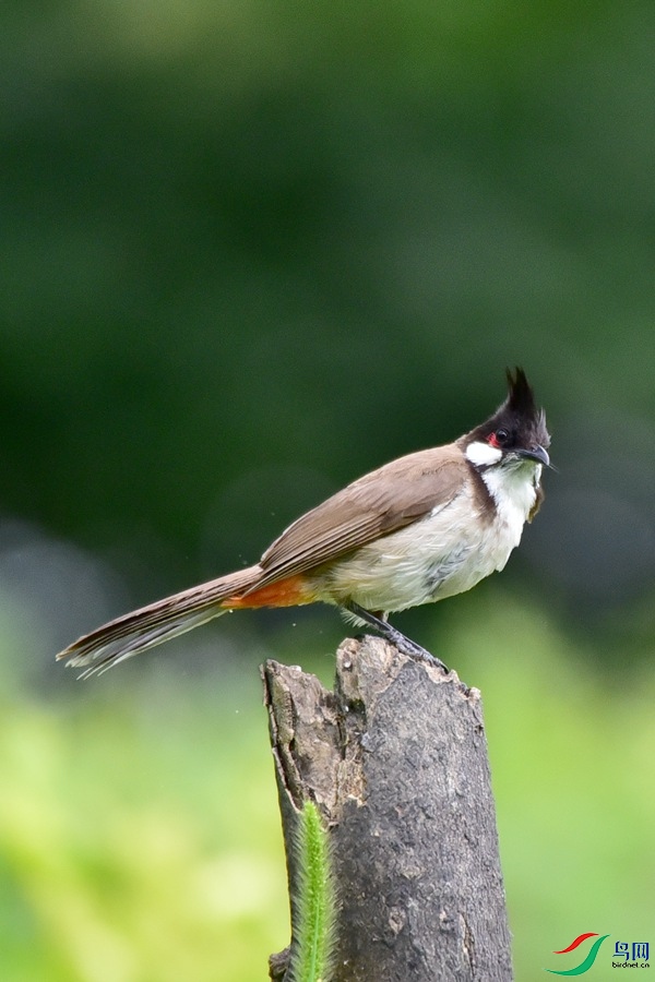 DSC_4189.JPG