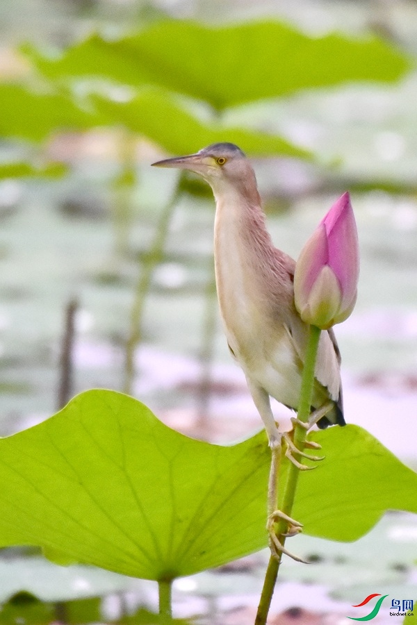 DSC_5543.JPG