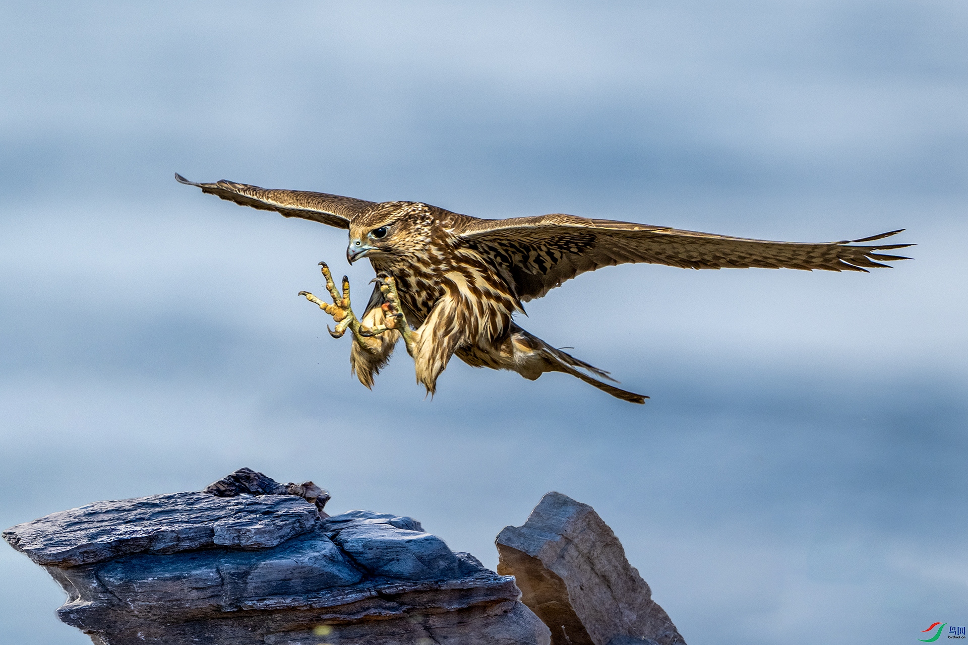 _DSC0408 ����С.jpg