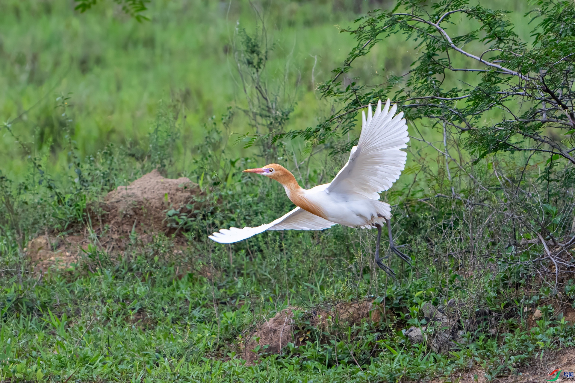 DSC_8812.jpg
