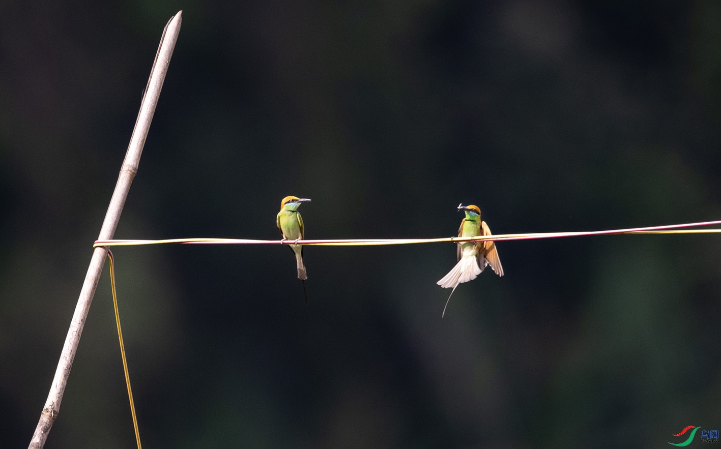 DSC_5051 ����.jpg