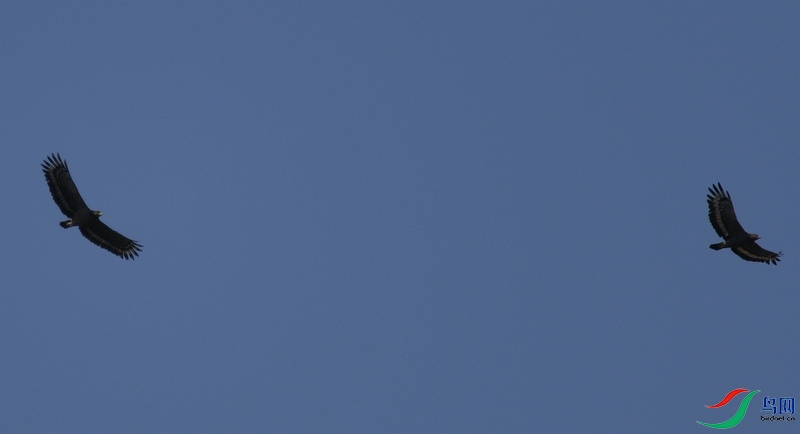 DSC_3969.JPG