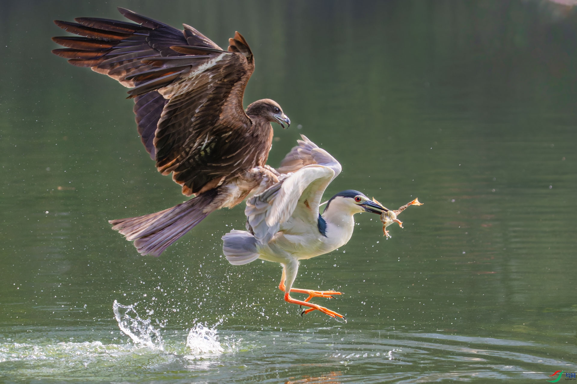 _R2I0454-CR2_DxO_DeepPRIMEXD-1.jpg