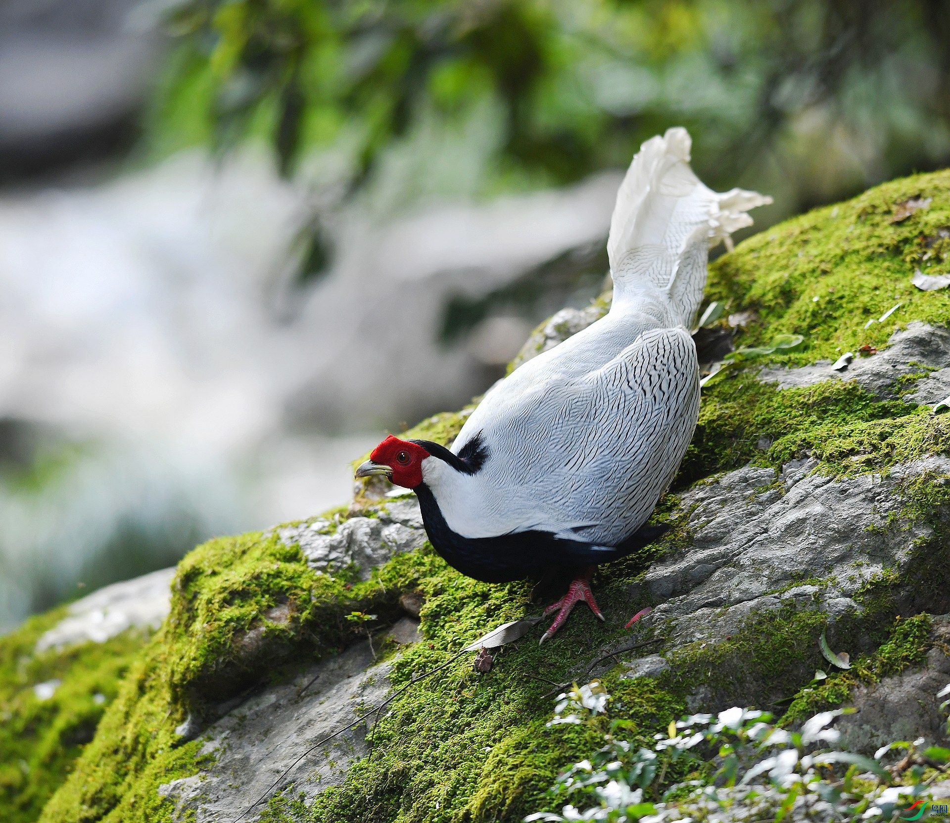 DSC_7924.jpg