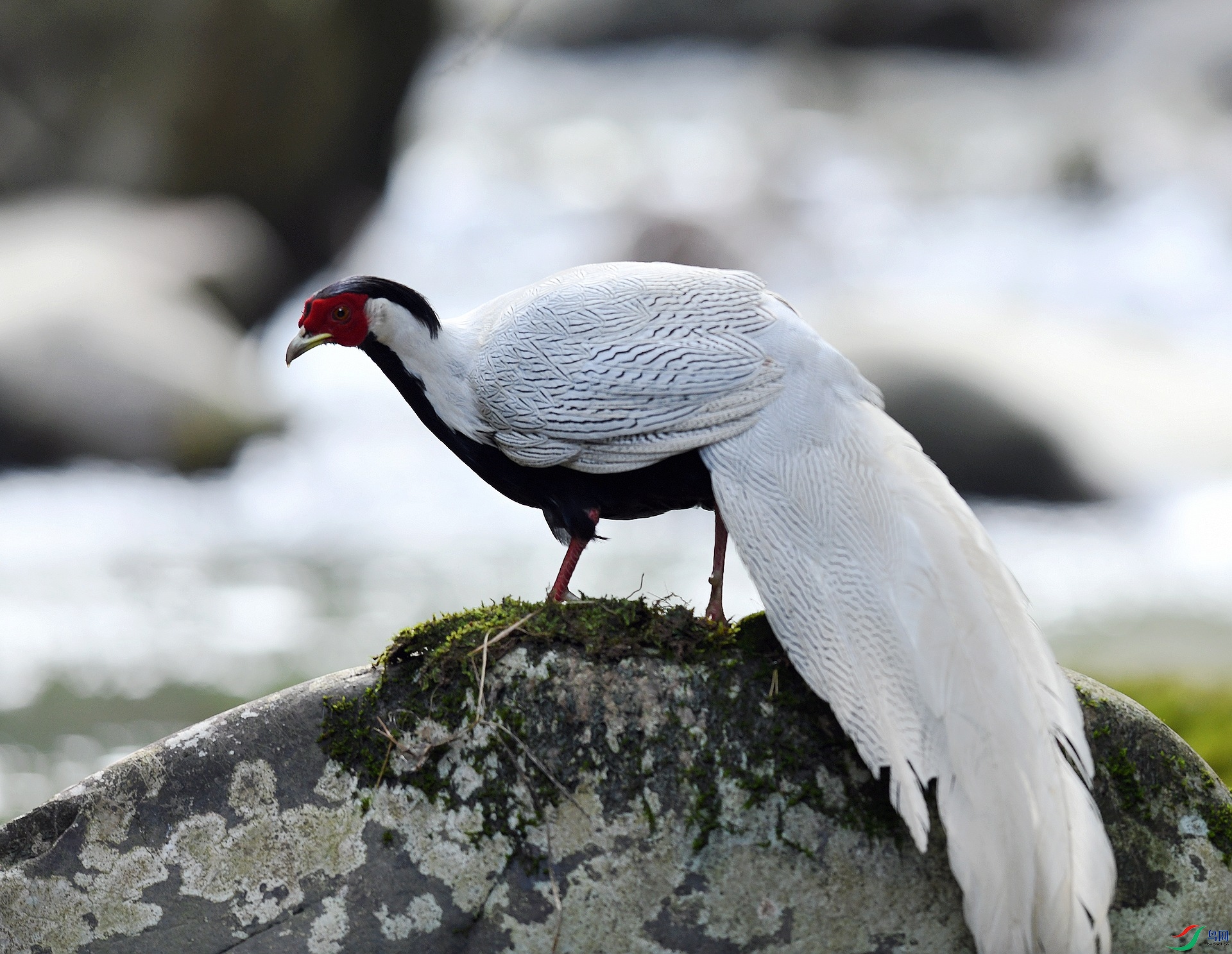 DSC_8146.jpg