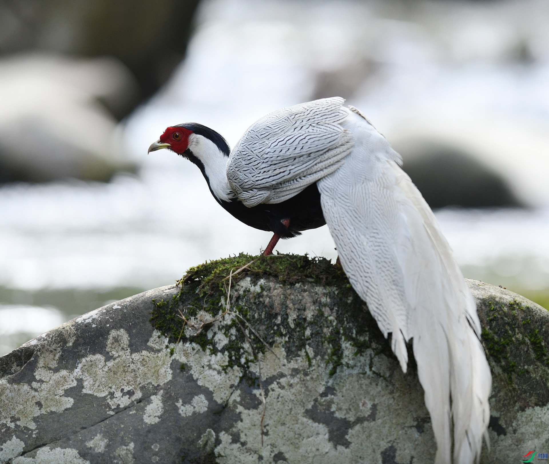 DSC_8128.jpg
