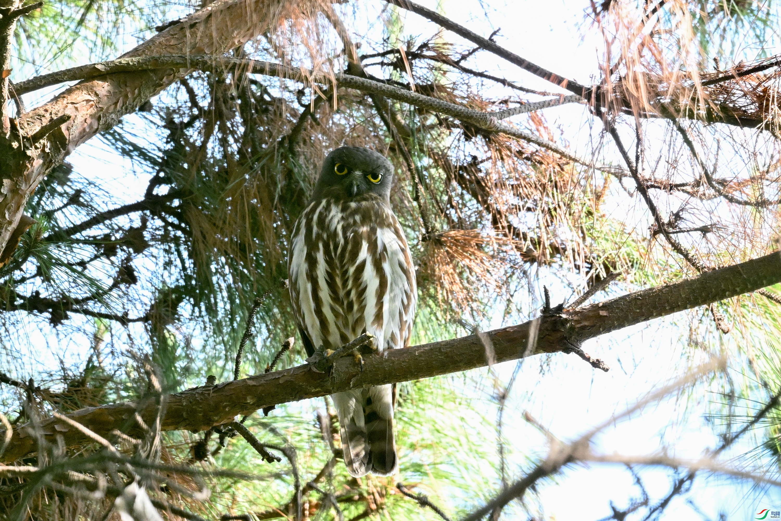 DSC_3602.JPG