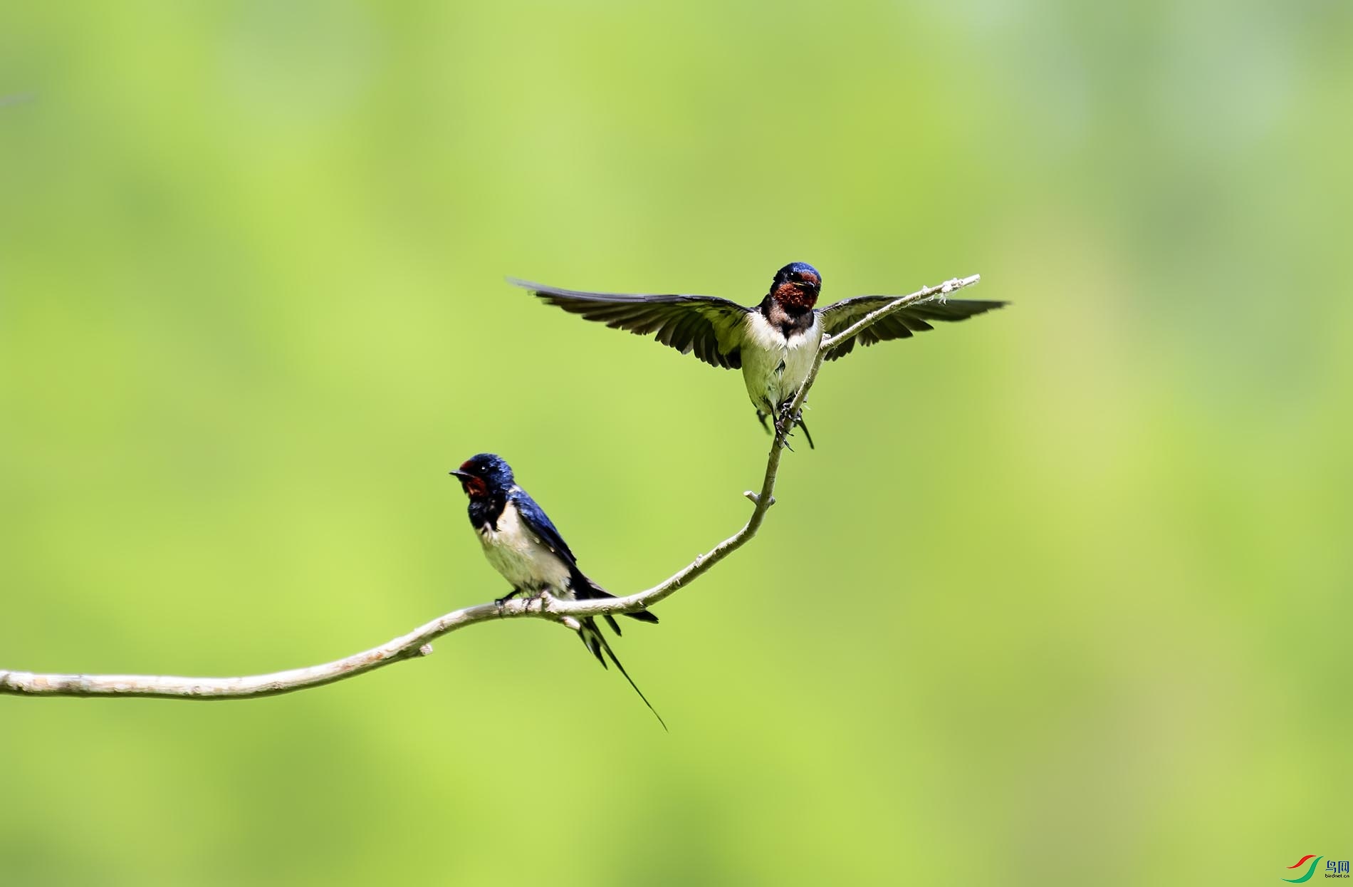 ��չ����