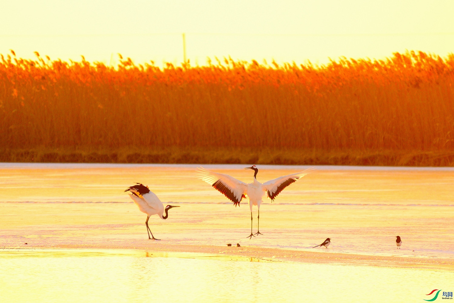 DSC_2015.JPG