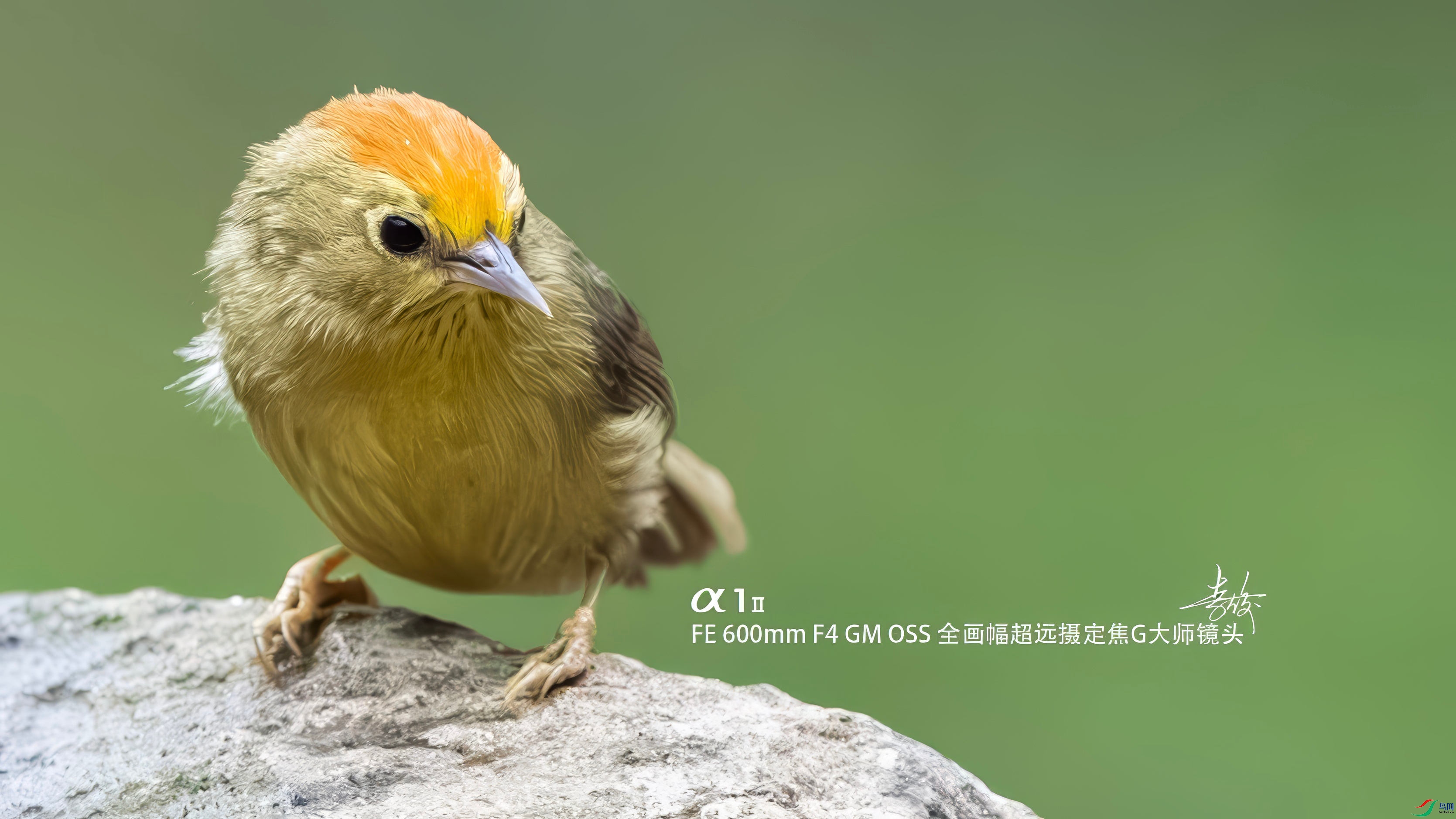 6δ����-1-topaz-denoise-upscale-2x_����.jpg