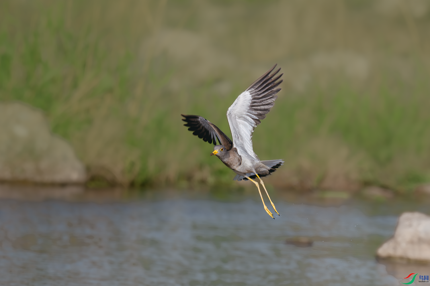 _DSC1883-����ǿ-NR.PNG