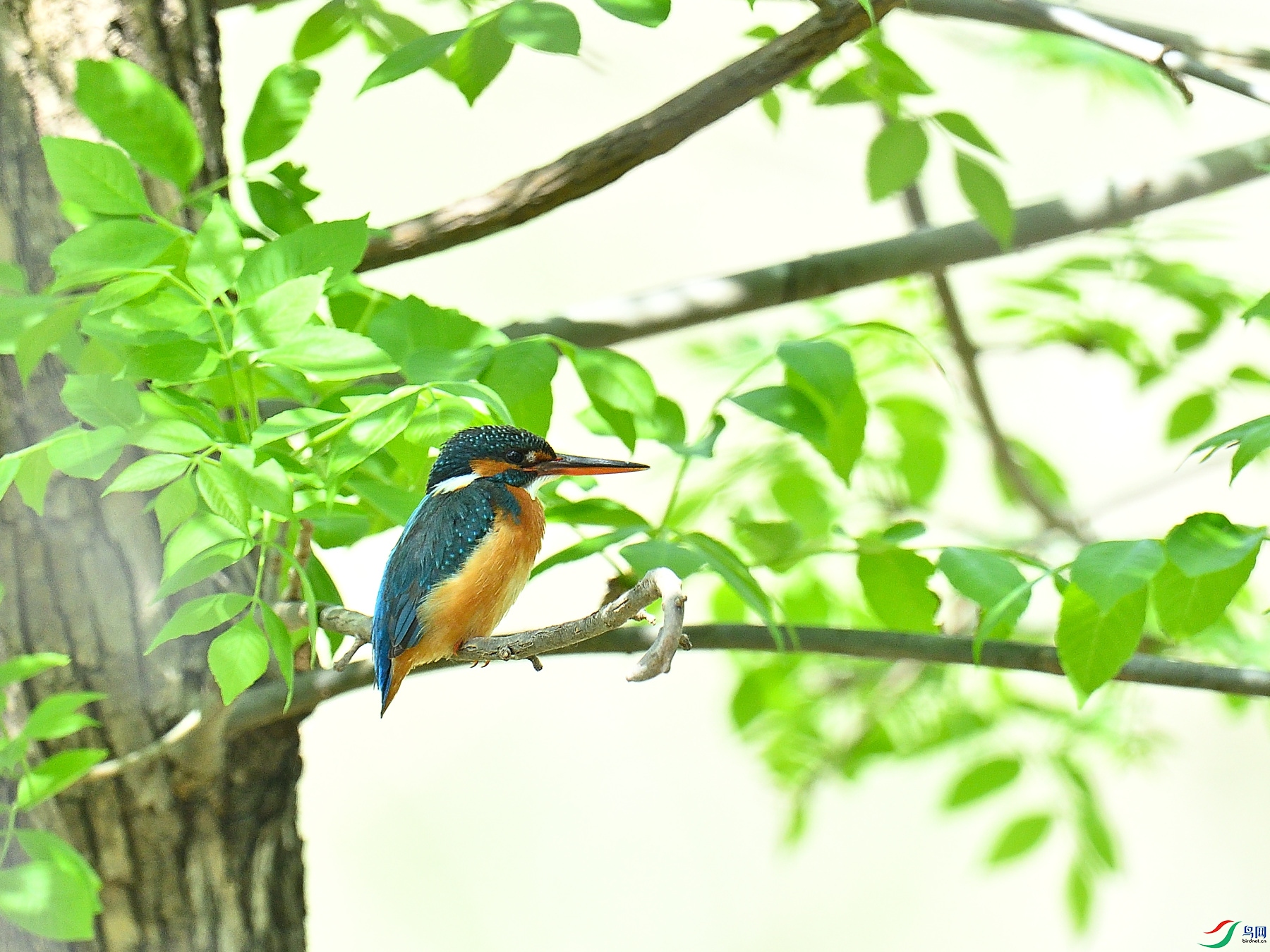 DSC_6681.JPG