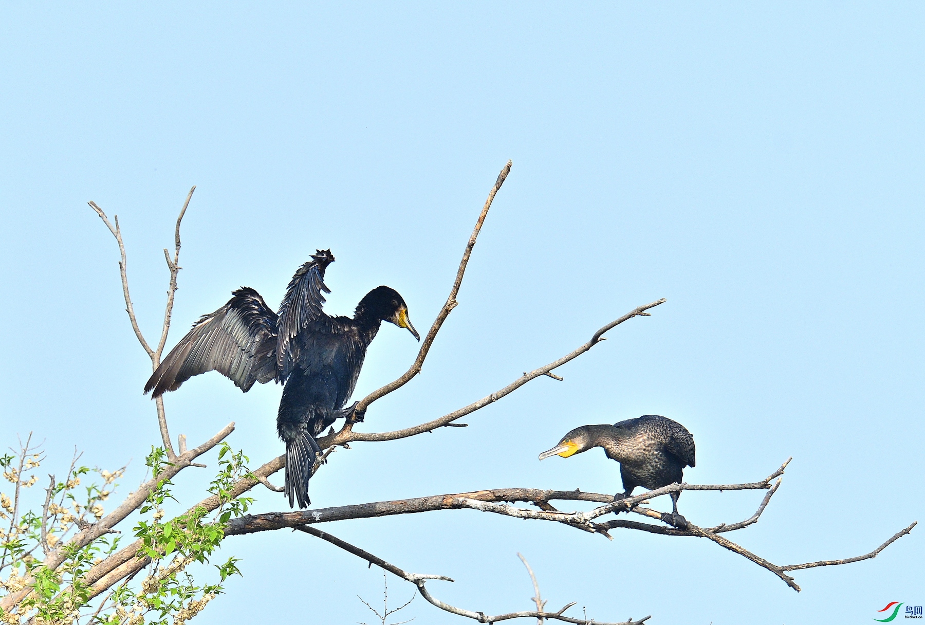 DSC_6553.JPG