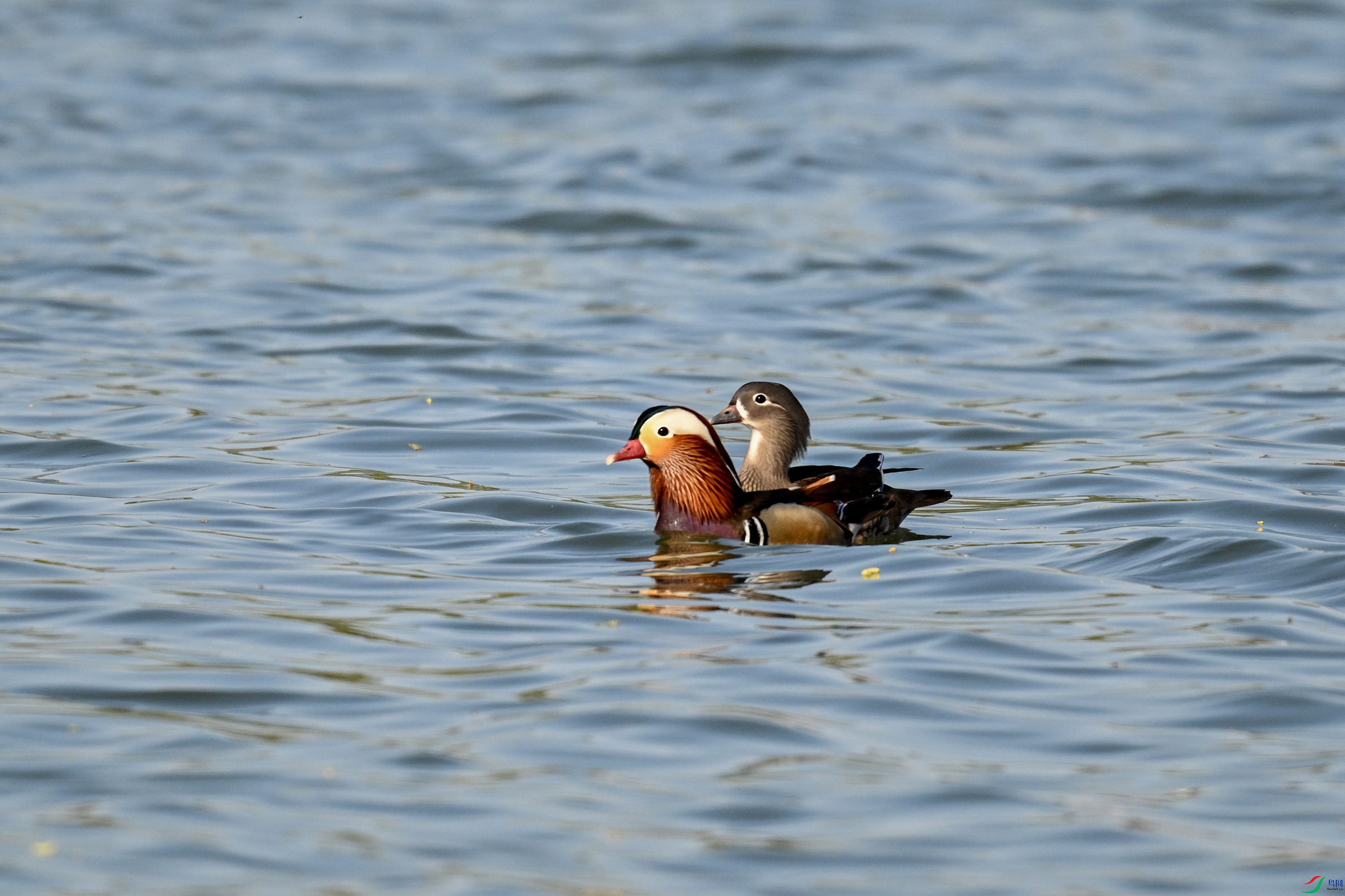 DSC_3188.JPG