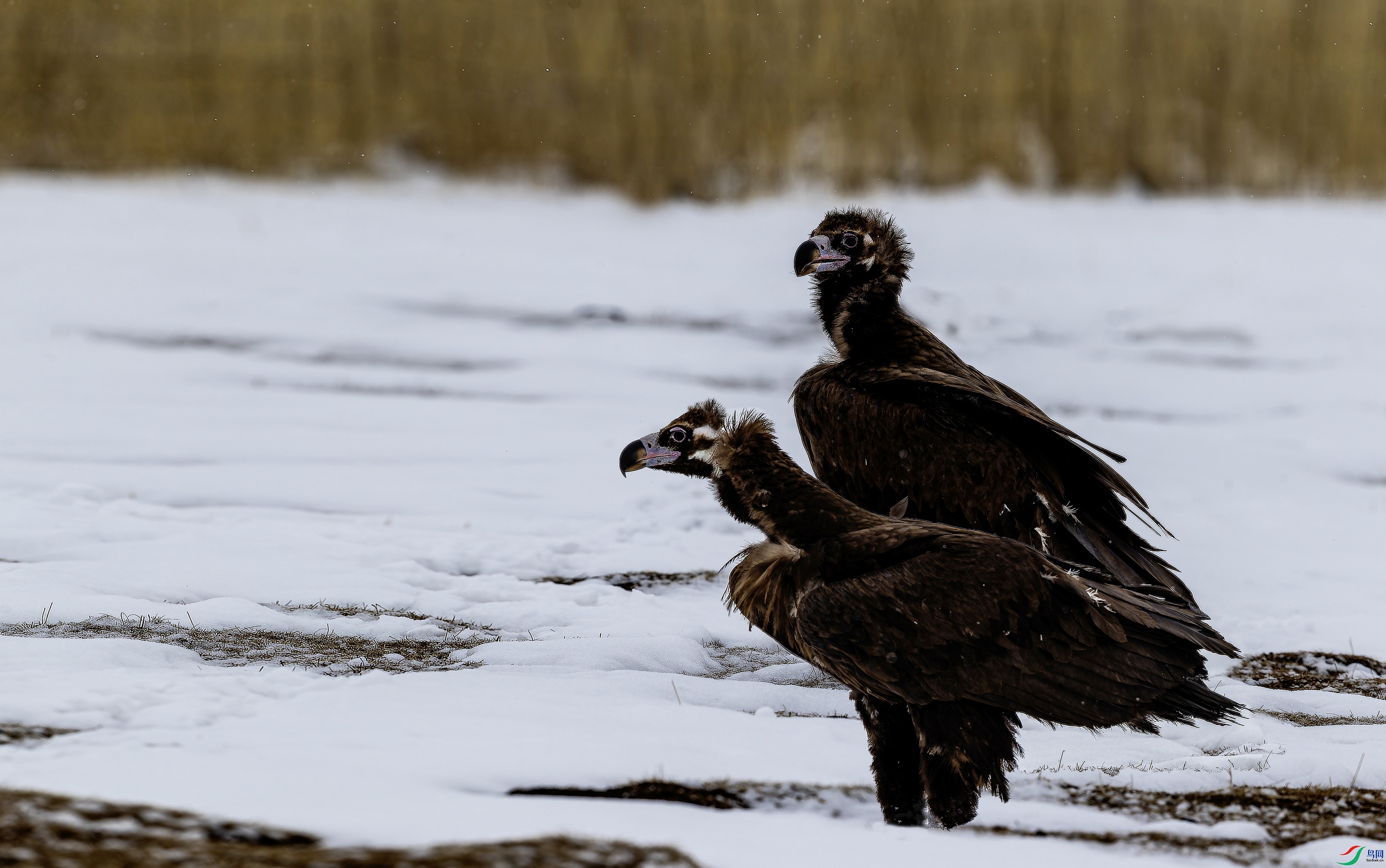 ͺ�� (861)-02.jpg