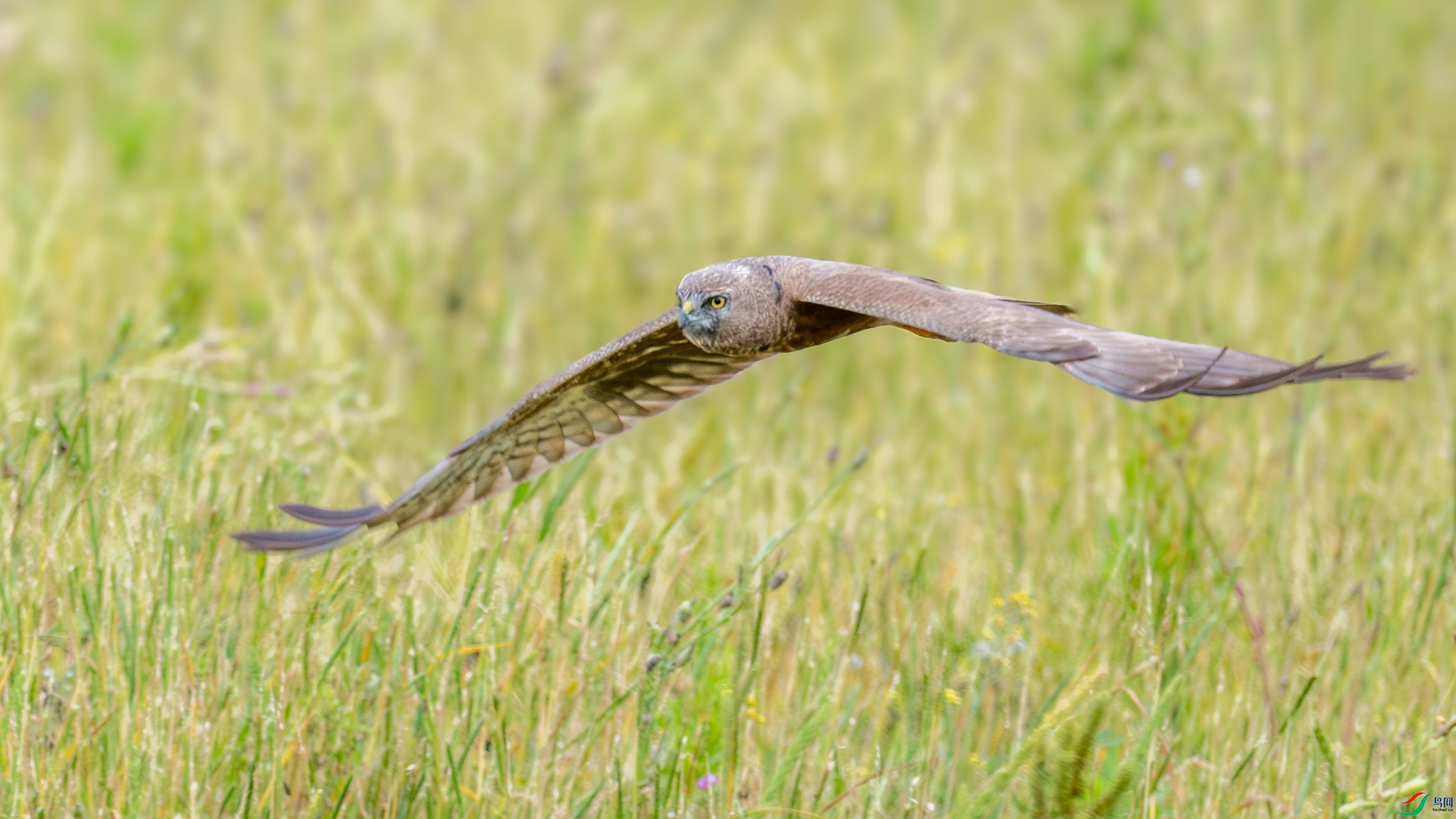 DSC_5806_1.JPG