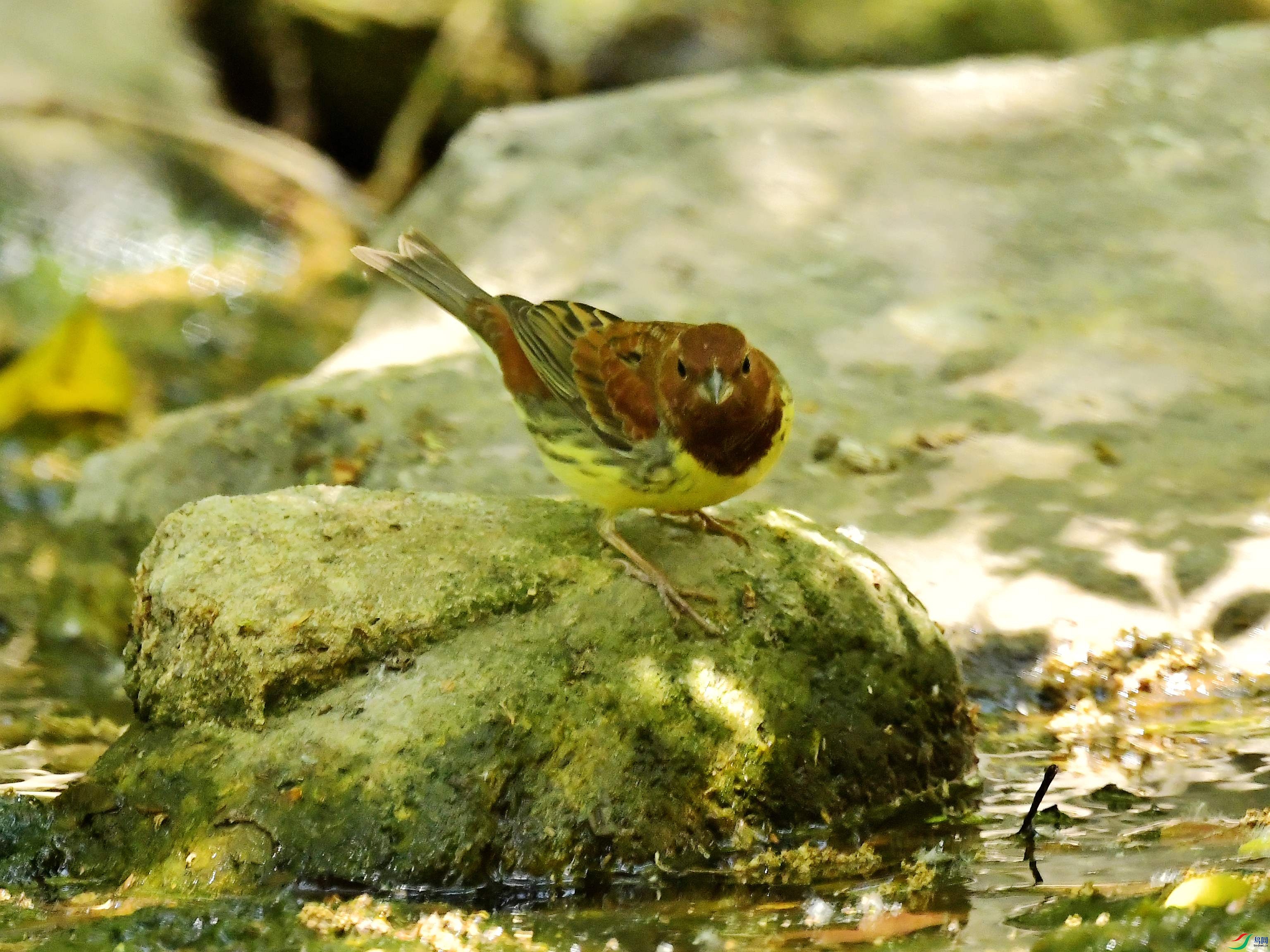 DSC_6337.jpg