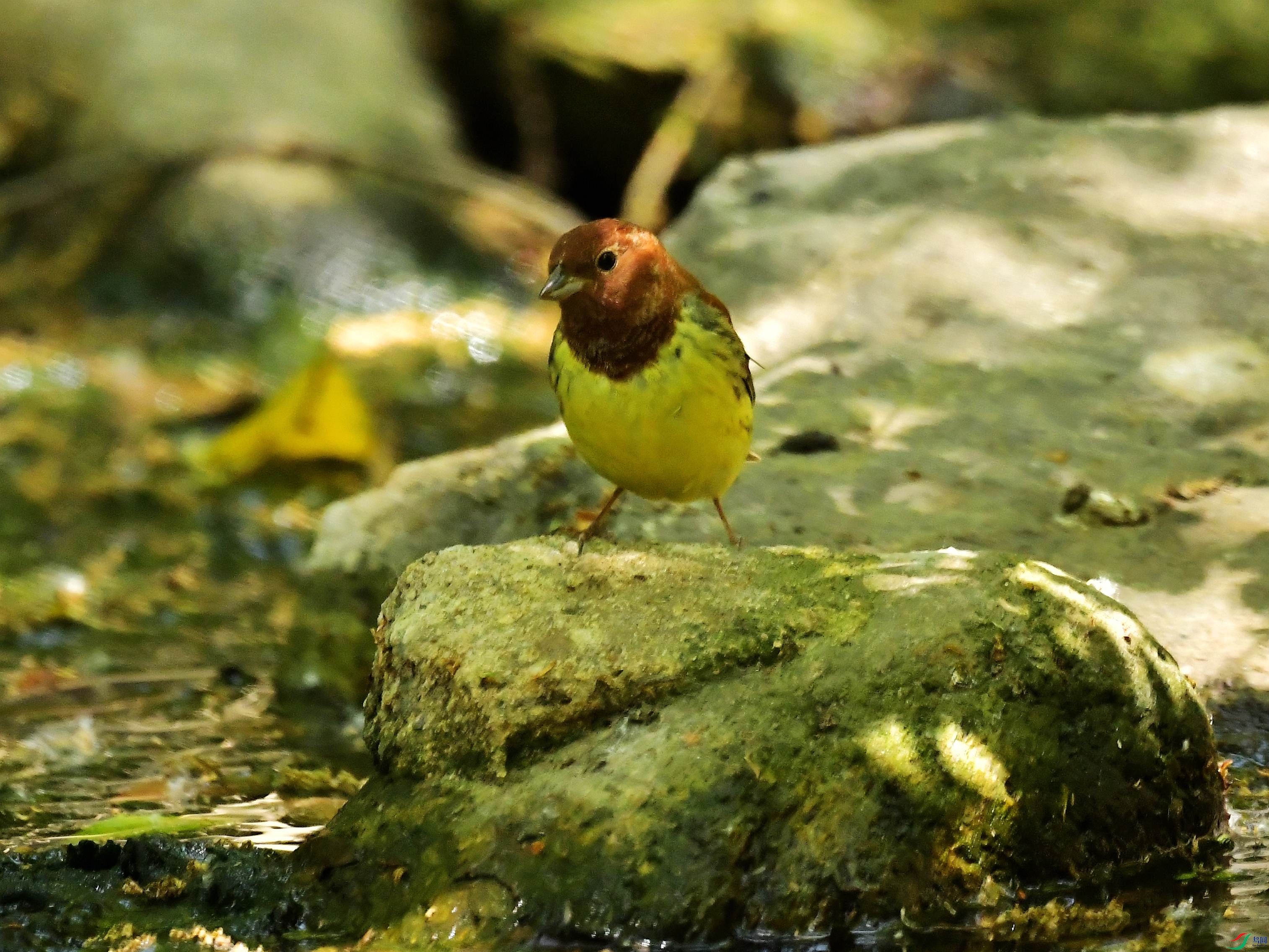 DSC_6314.jpg