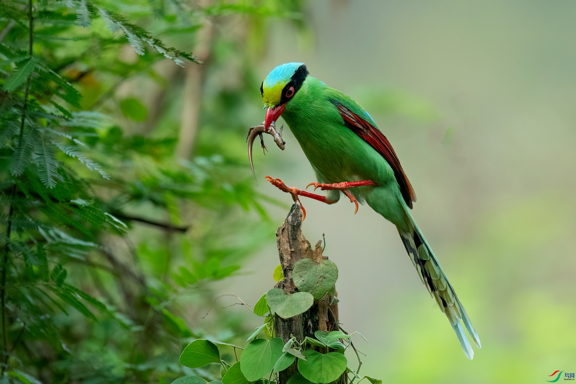 B86I0398 _����.jpg