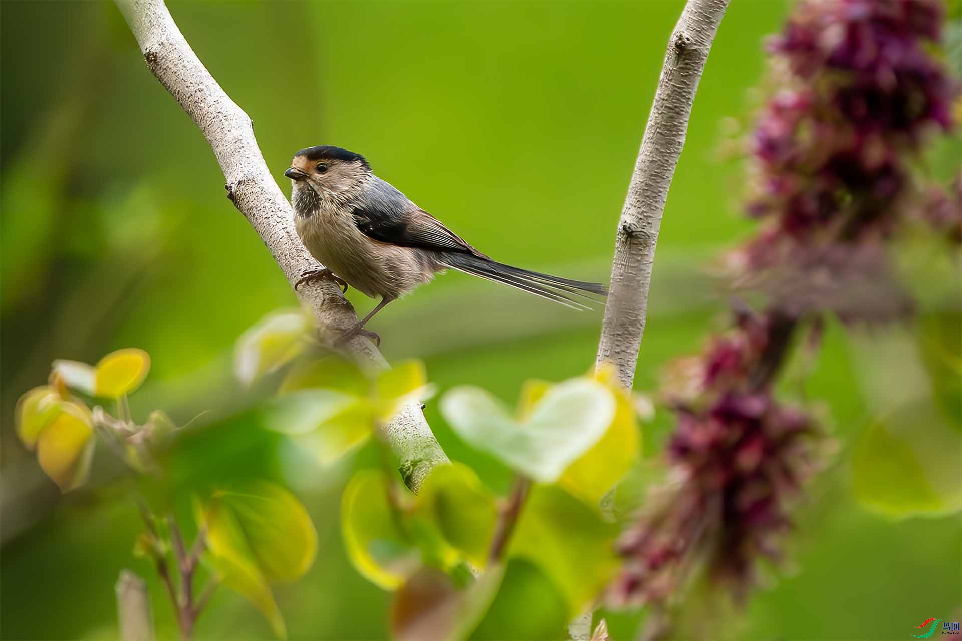 _DSC7795-.jpg