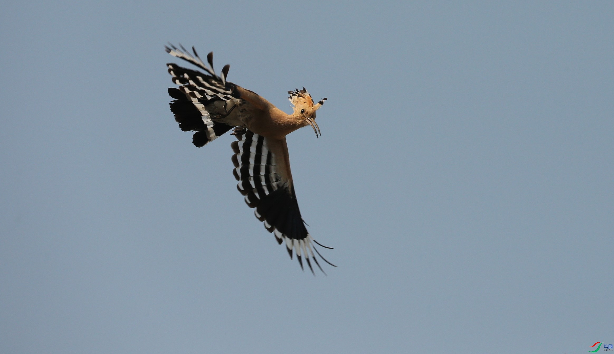 D89P7914.JPG
